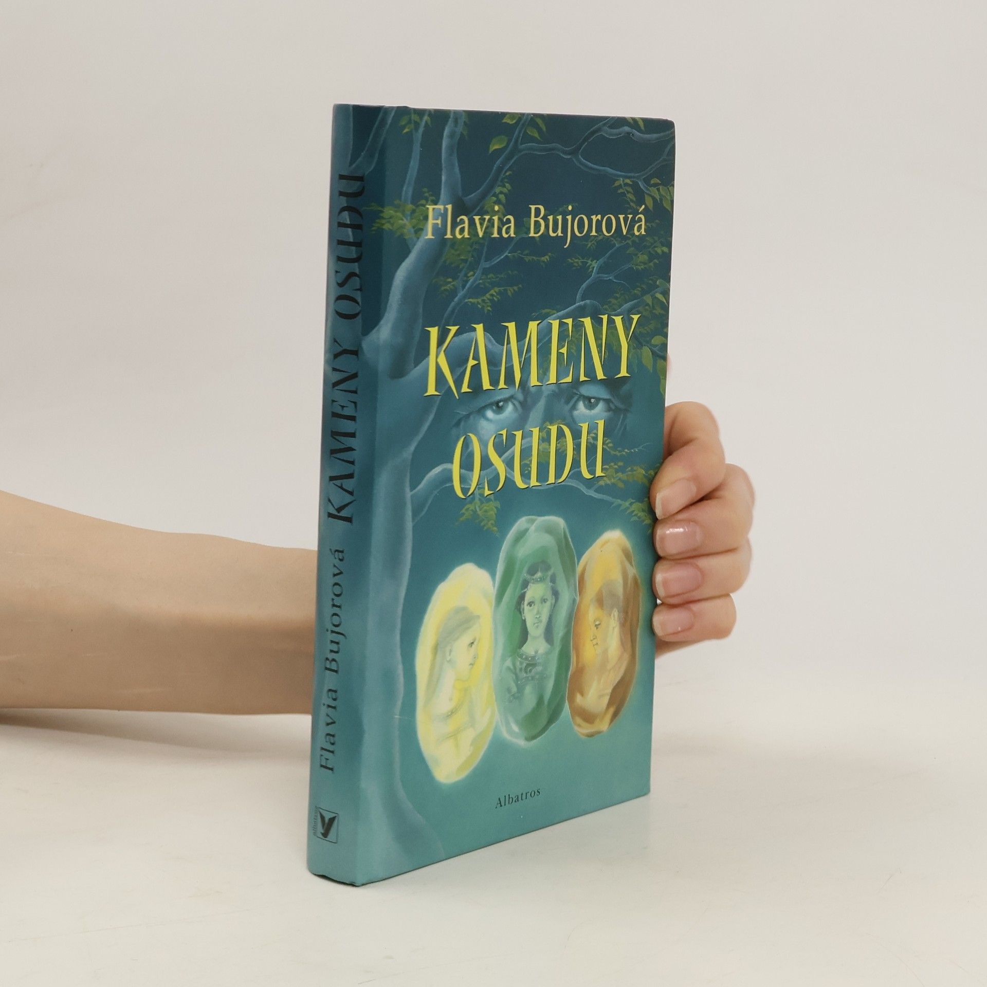 Flavia Bujor Kameny osudu