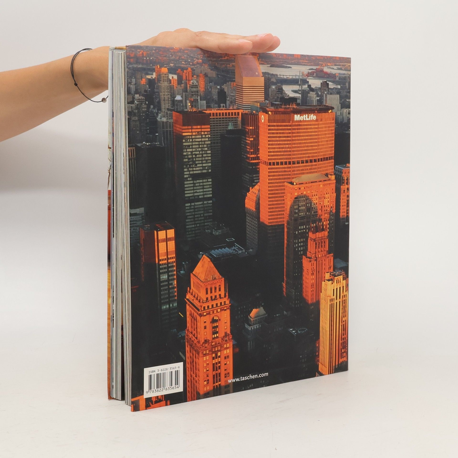 Beate Wedekind New York interiors
