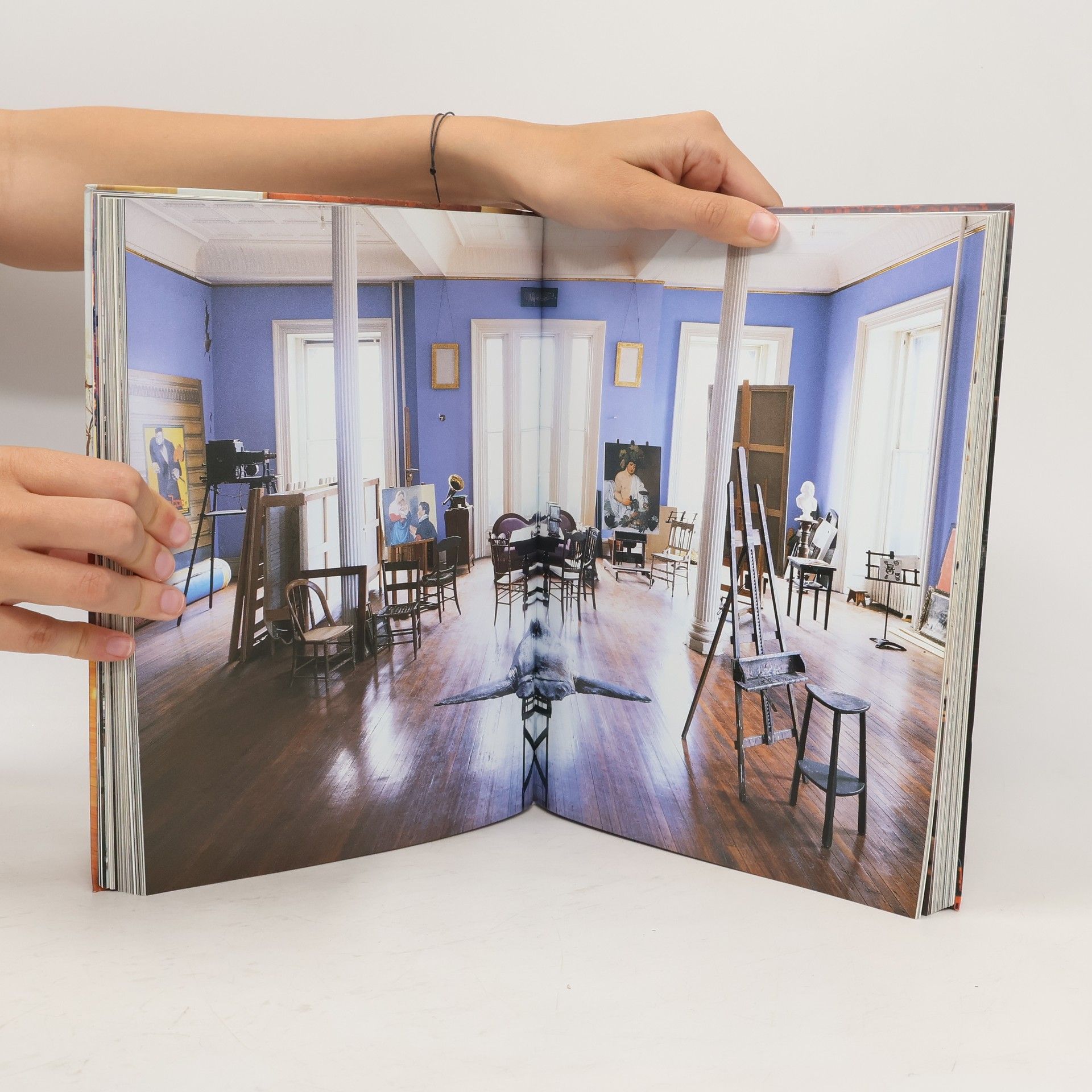 Beate Wedekind New York interiors