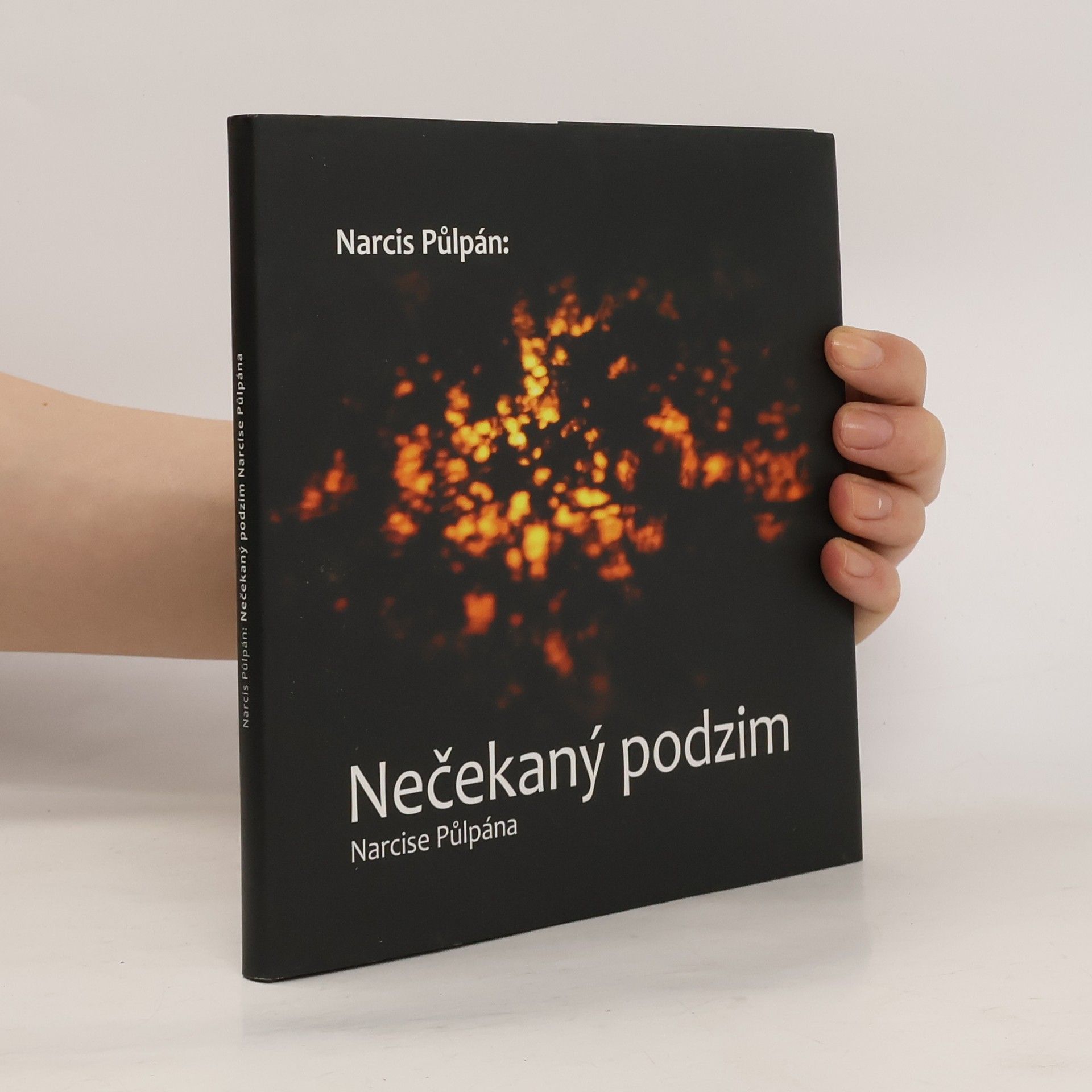 Petr Sedláček Nečekaný podzim Narcise Půlpána
