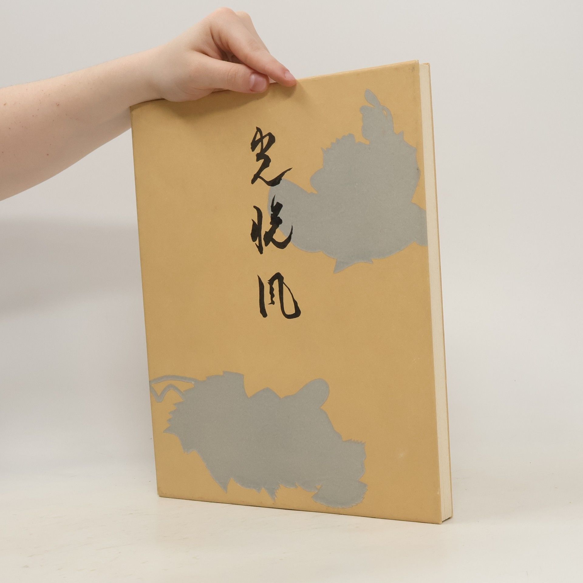 Xiu Sheng 超畫