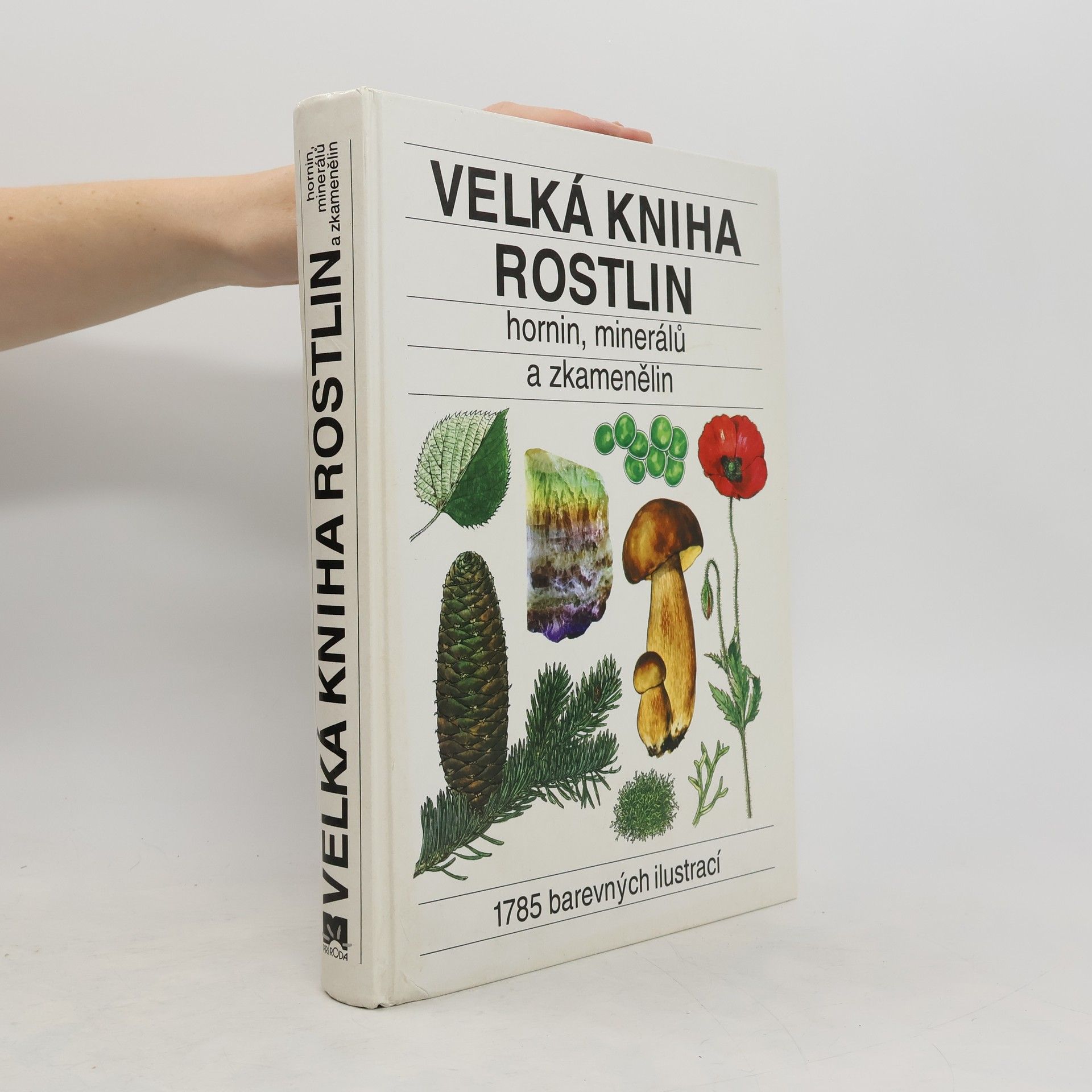 Jindřich Krejča Velká kniha rostlin : hornin, minerálů a zkamenělin