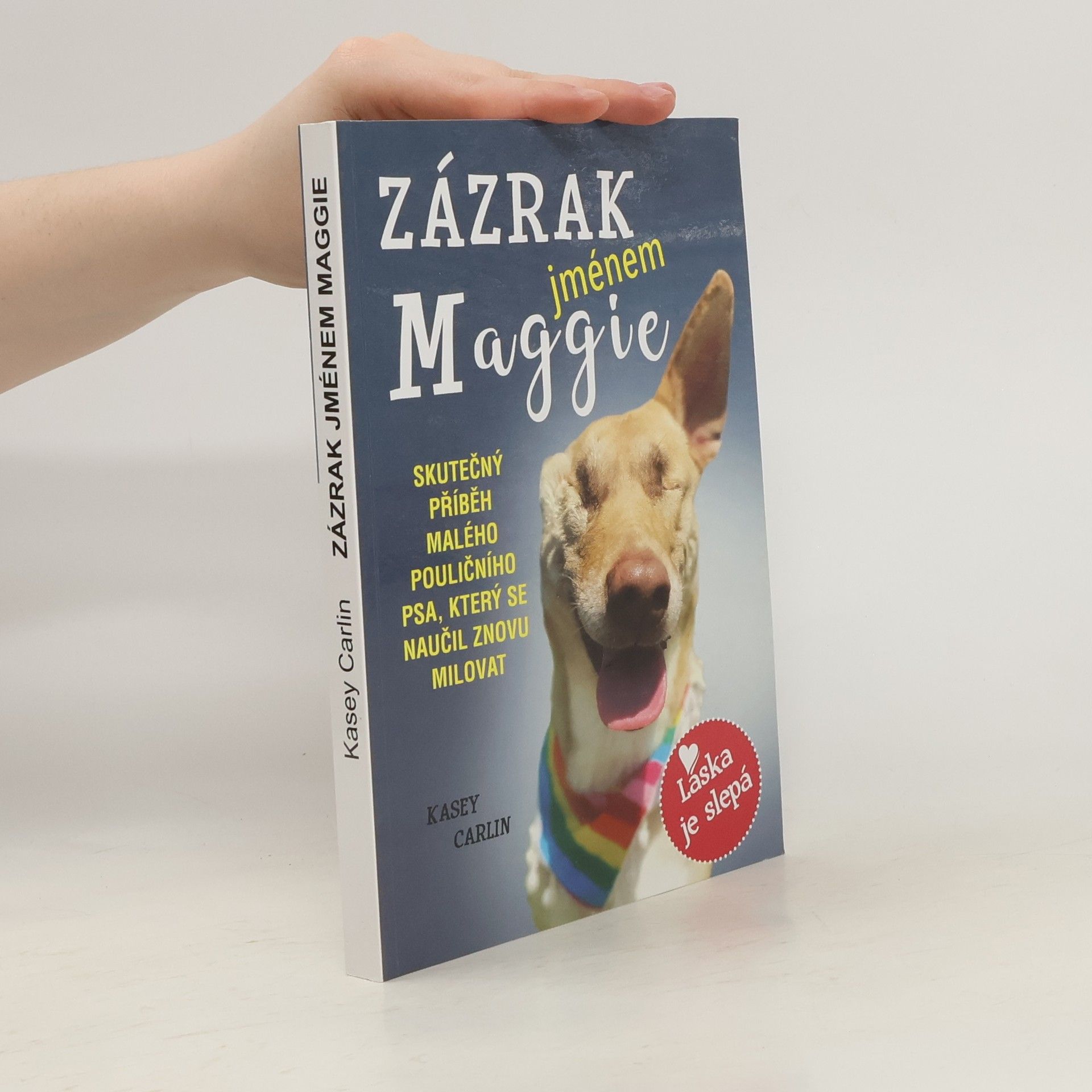 Kasey Carlin Zázrak jménem Maggie (se záložkou)