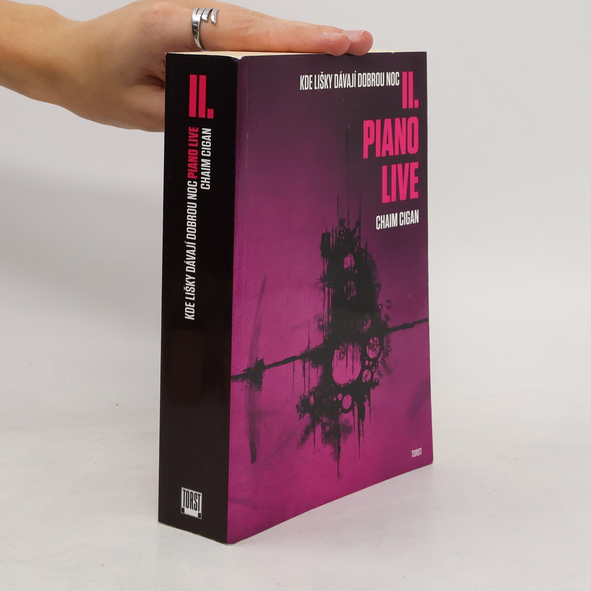 Karol Sidon Kde lišky dávají dobrou noc II. Piano live