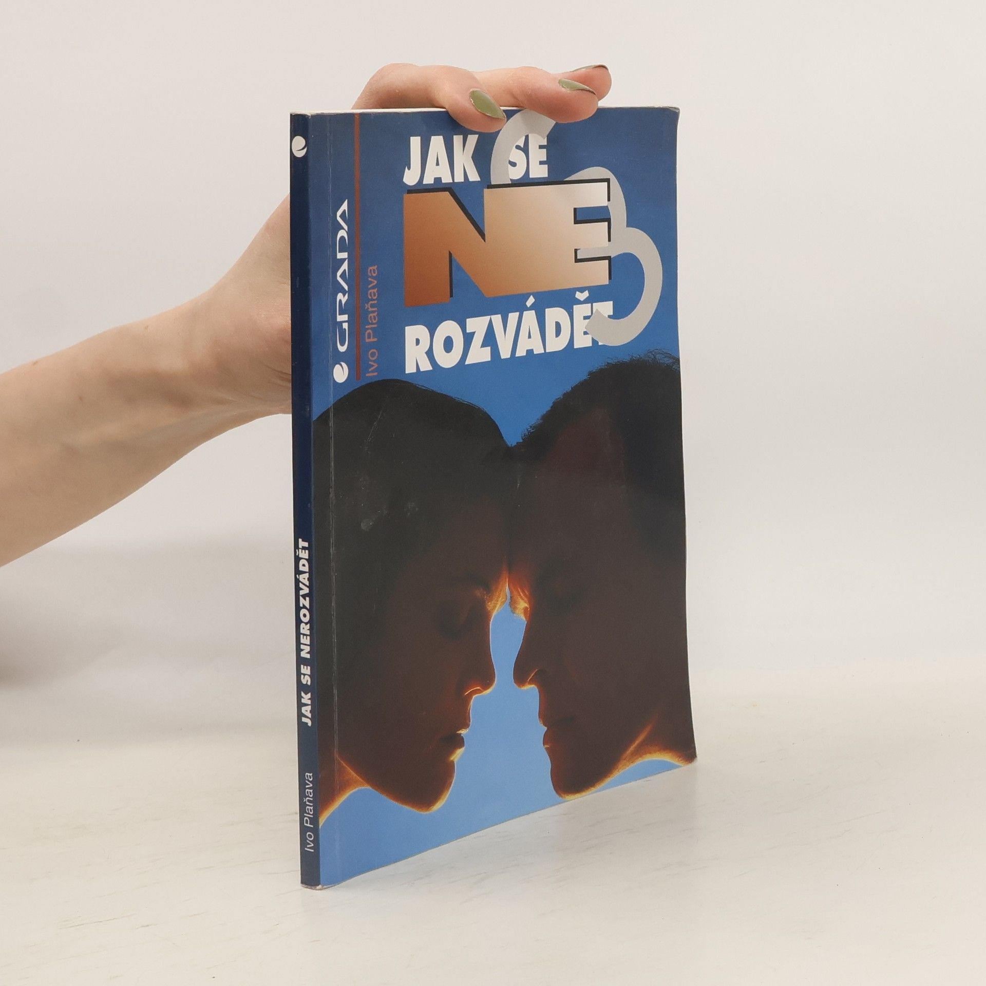 Ivo Plaňava Jak se (ne)rozvádět