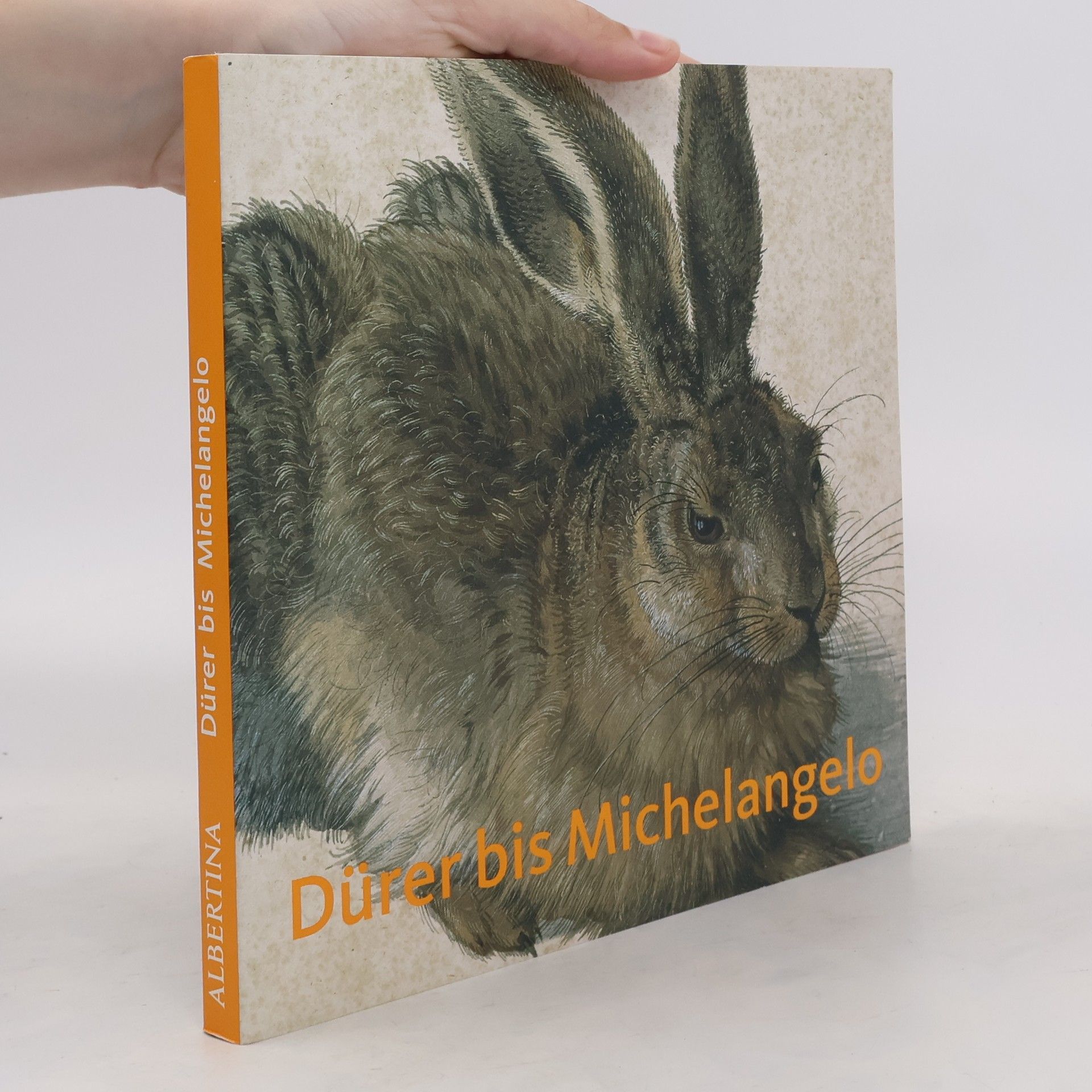 Autorenkollektiv Dürer bis Michelangelo