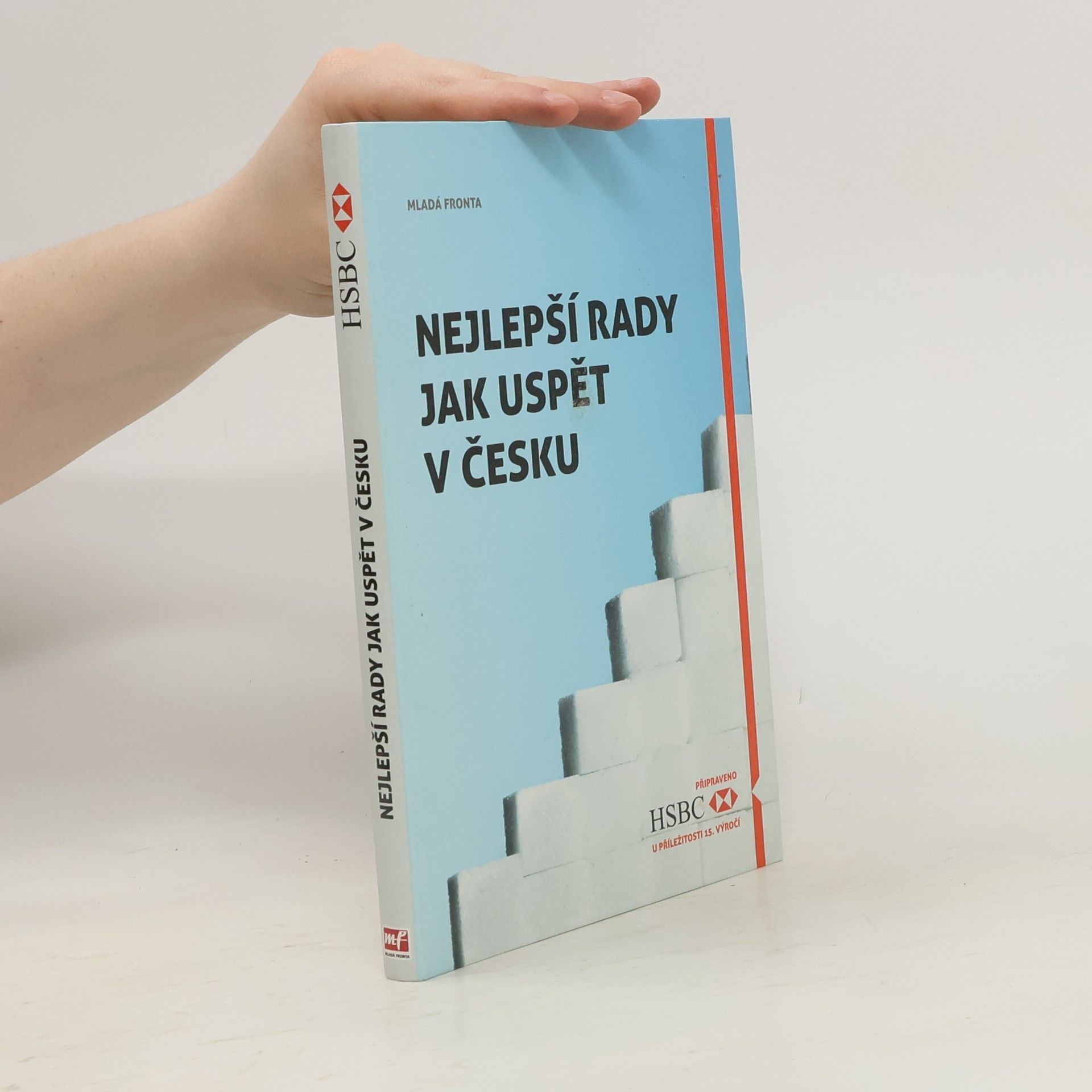 Autorenkollektiv Nejlepší rady jak uspět v Česku