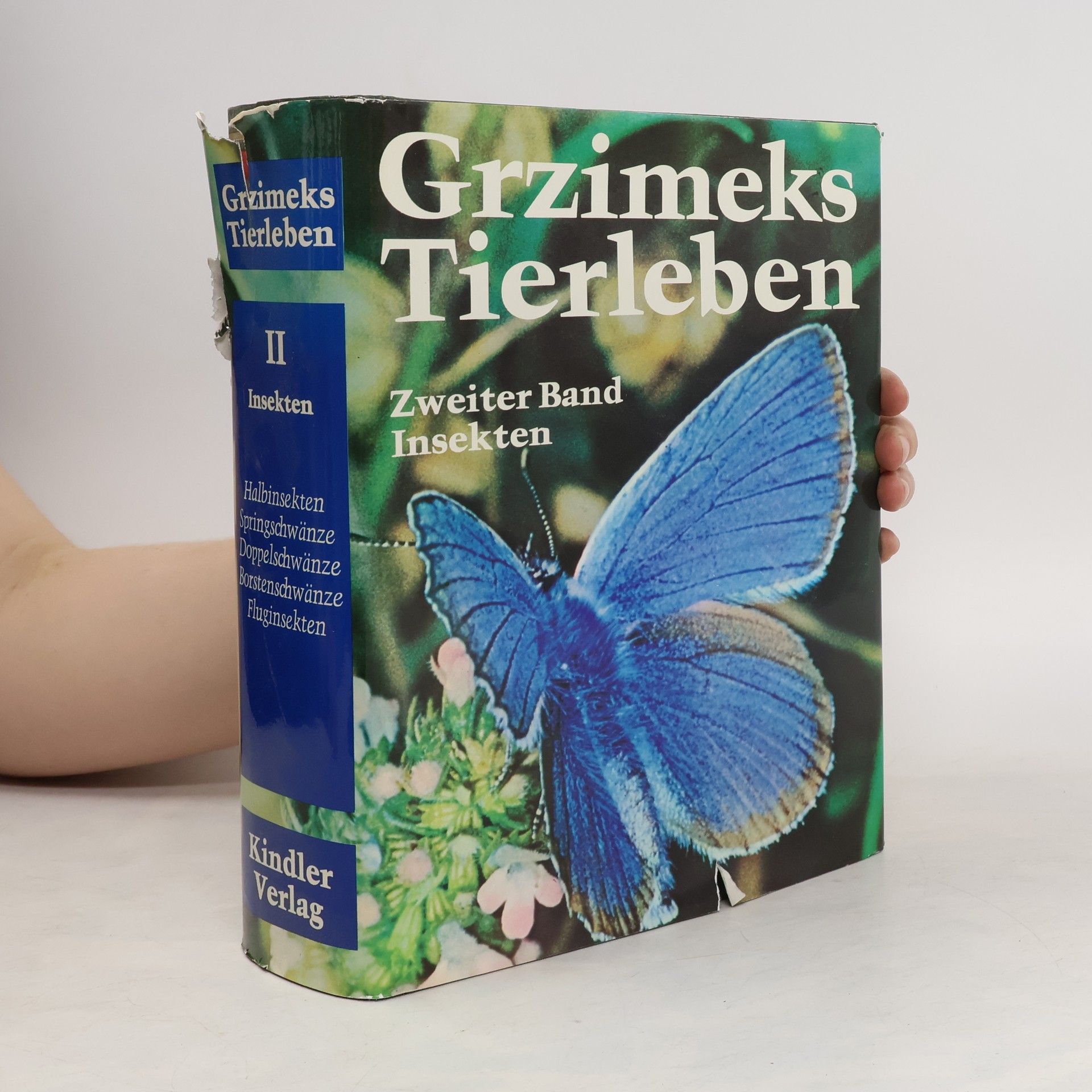 kolektiv Grzimeks Tierleben II. Insekten