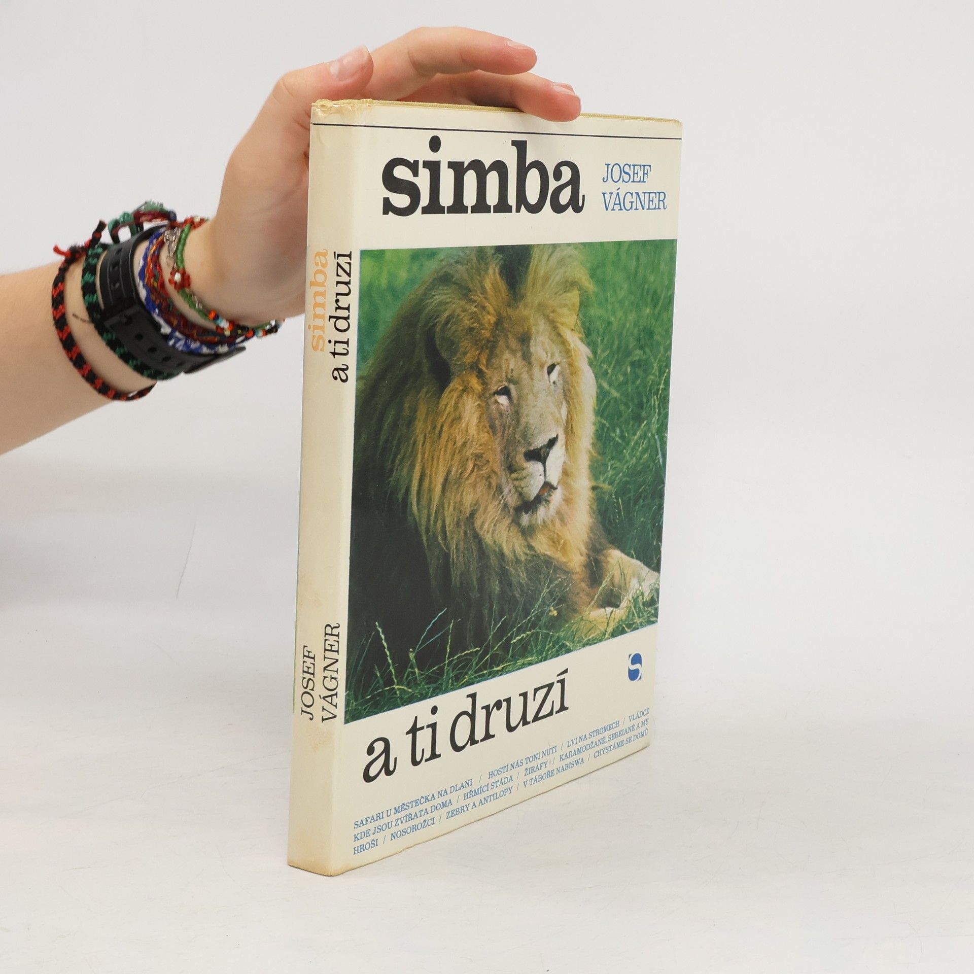 Simba a ti druzí