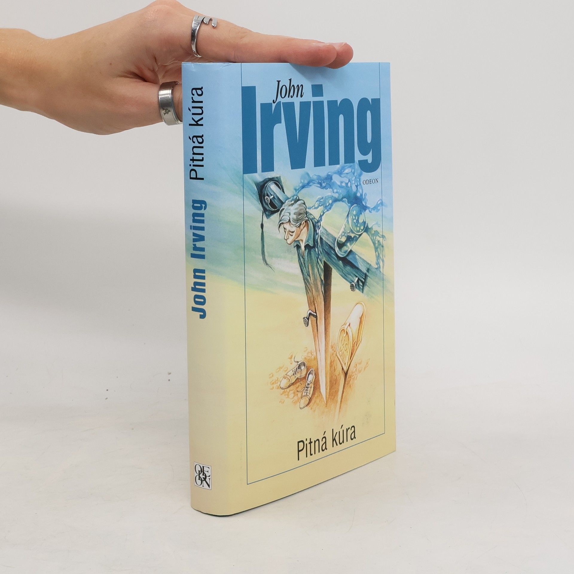 John Irving Pitná kúra