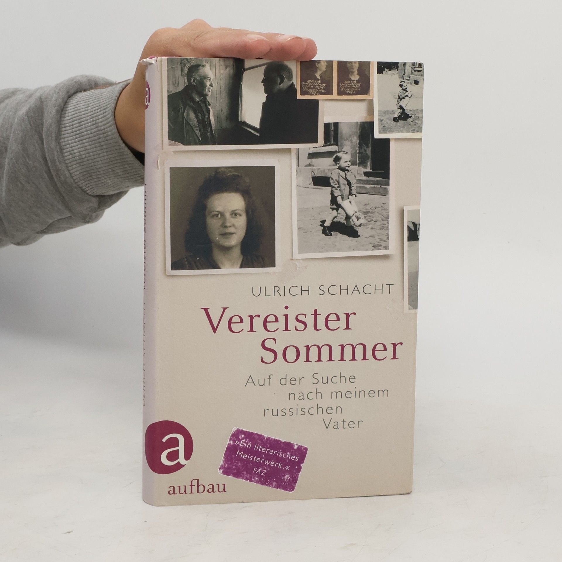 Ulrich Schacht Vereister Sommer