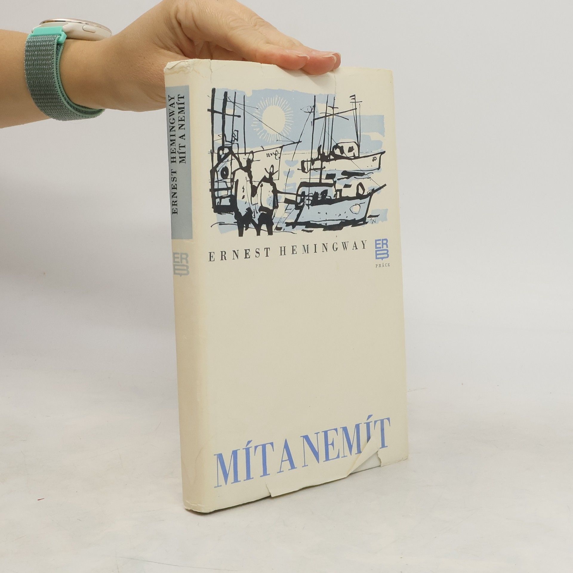 Ernest Hemingway Mít a nemít