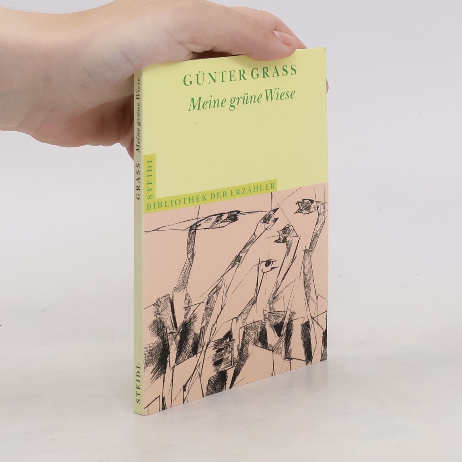 Günter Grass Meine grüne Wiese. Kurzprosa und Geschichten