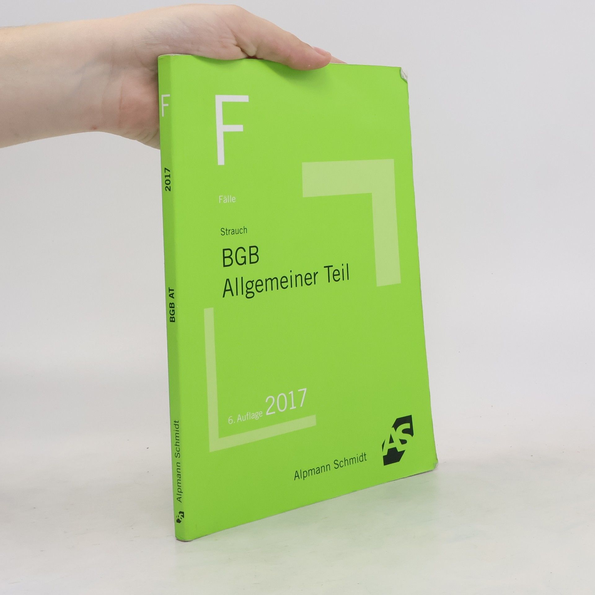 Oliver Strauch Fälle BGB AT