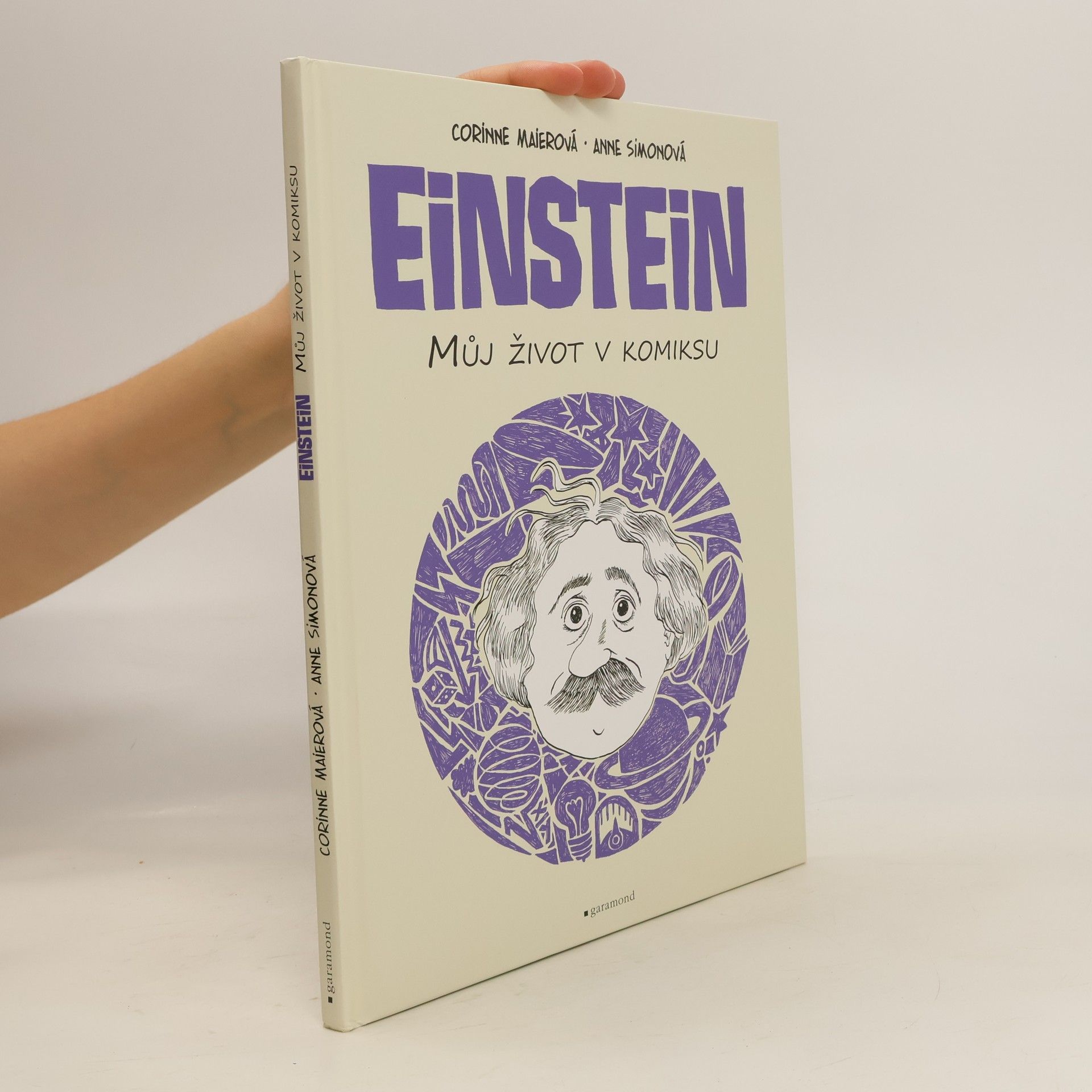 Corinne Maier Einstein. Můj život v komiksu.