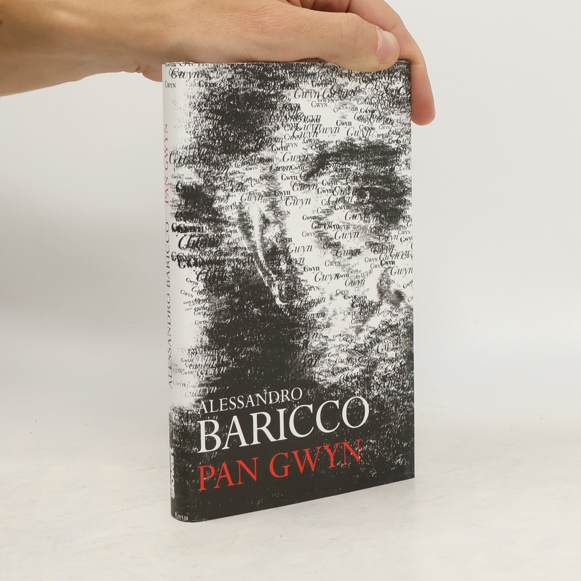 Alessandro Baricco Pan Gwyn