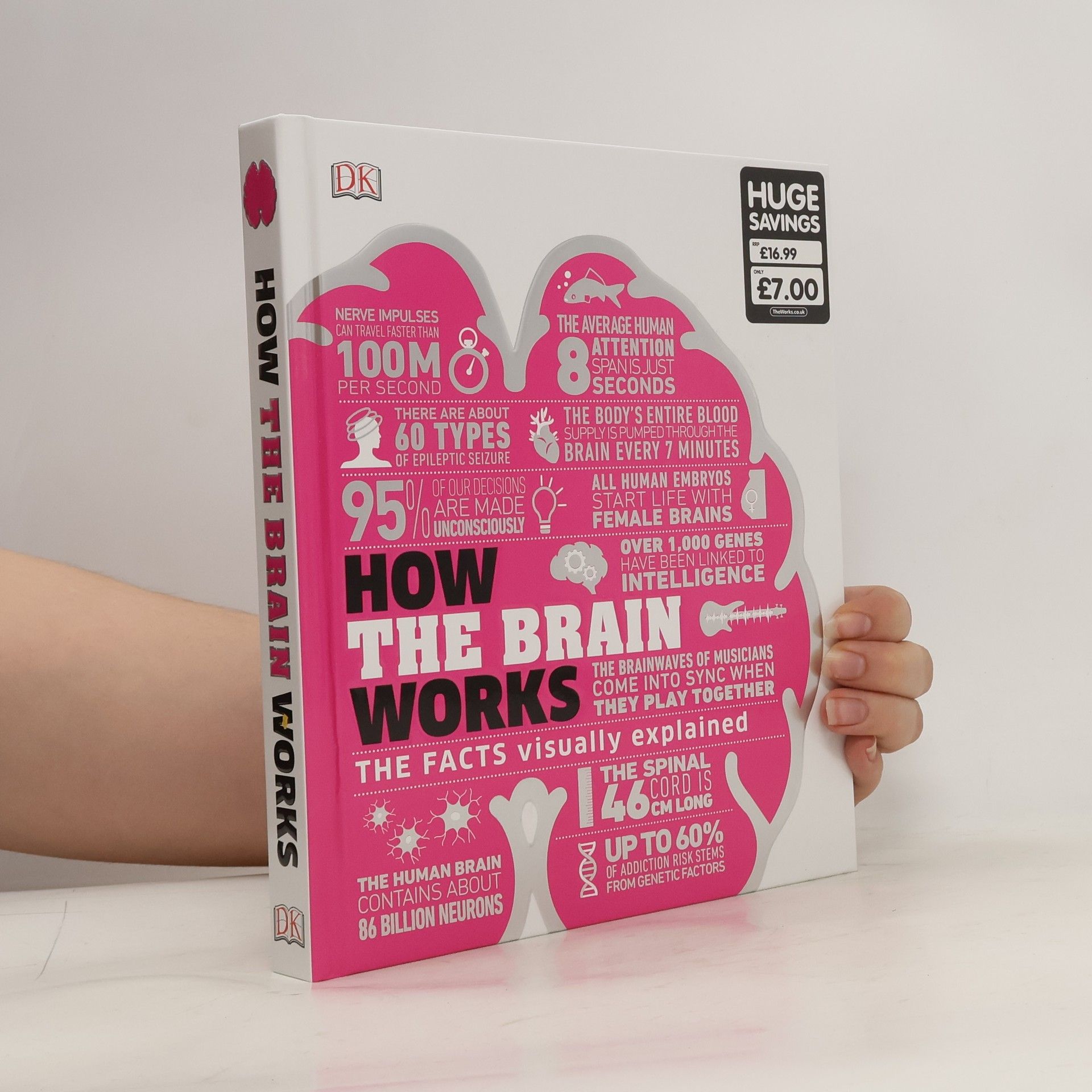 kolektiv How the Brain Works