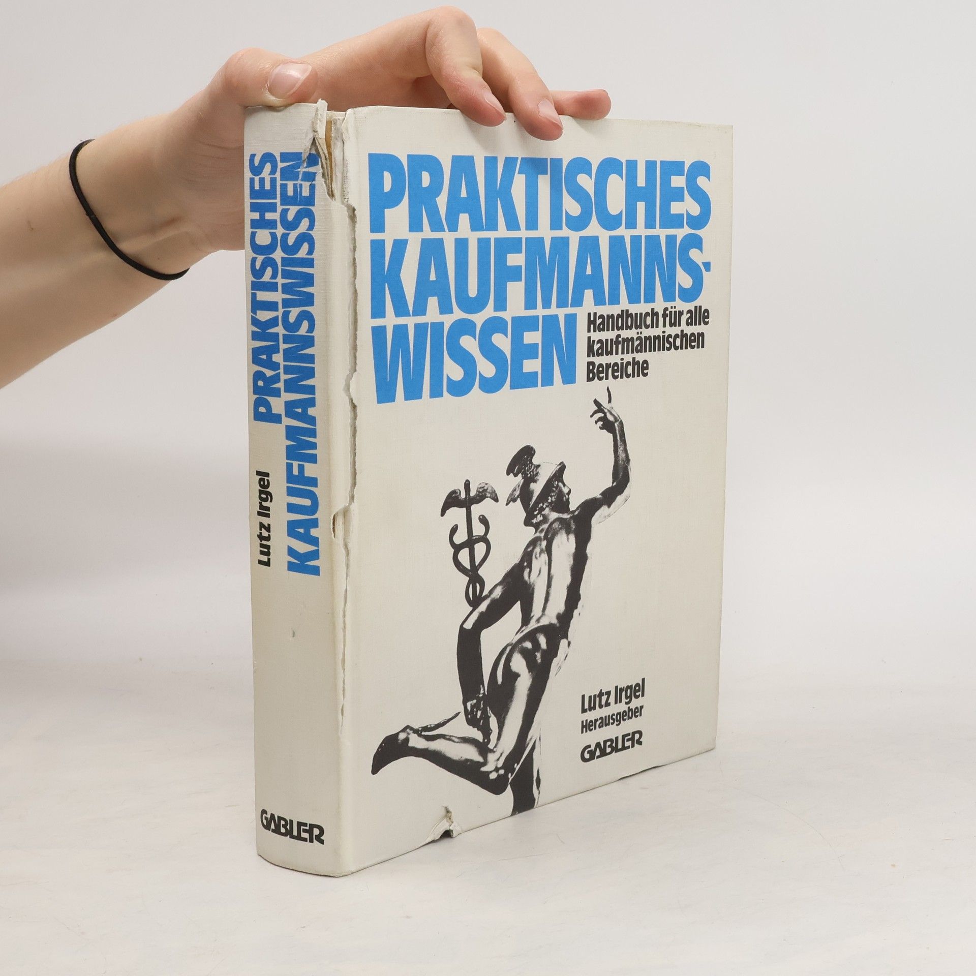 Lutz Irgel Praktisches Kaufmanns-Wissen