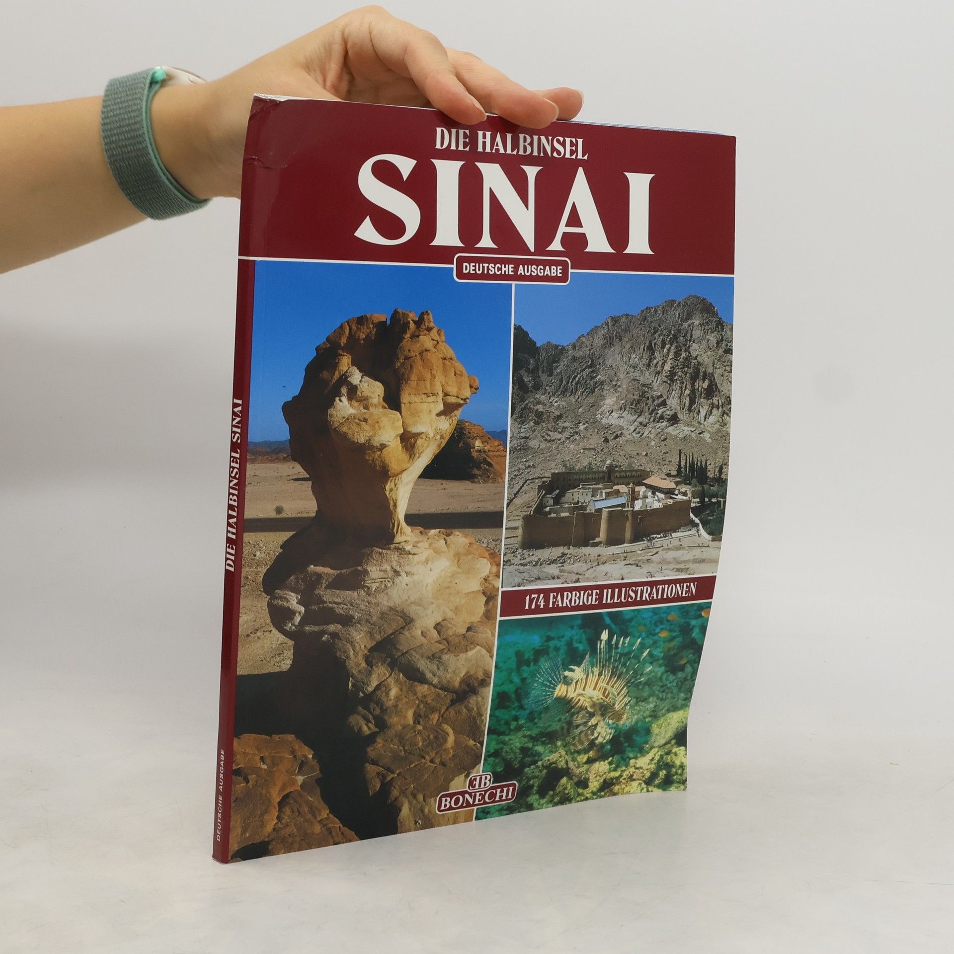 Giovanna Magi Die Halbinsel Sinai