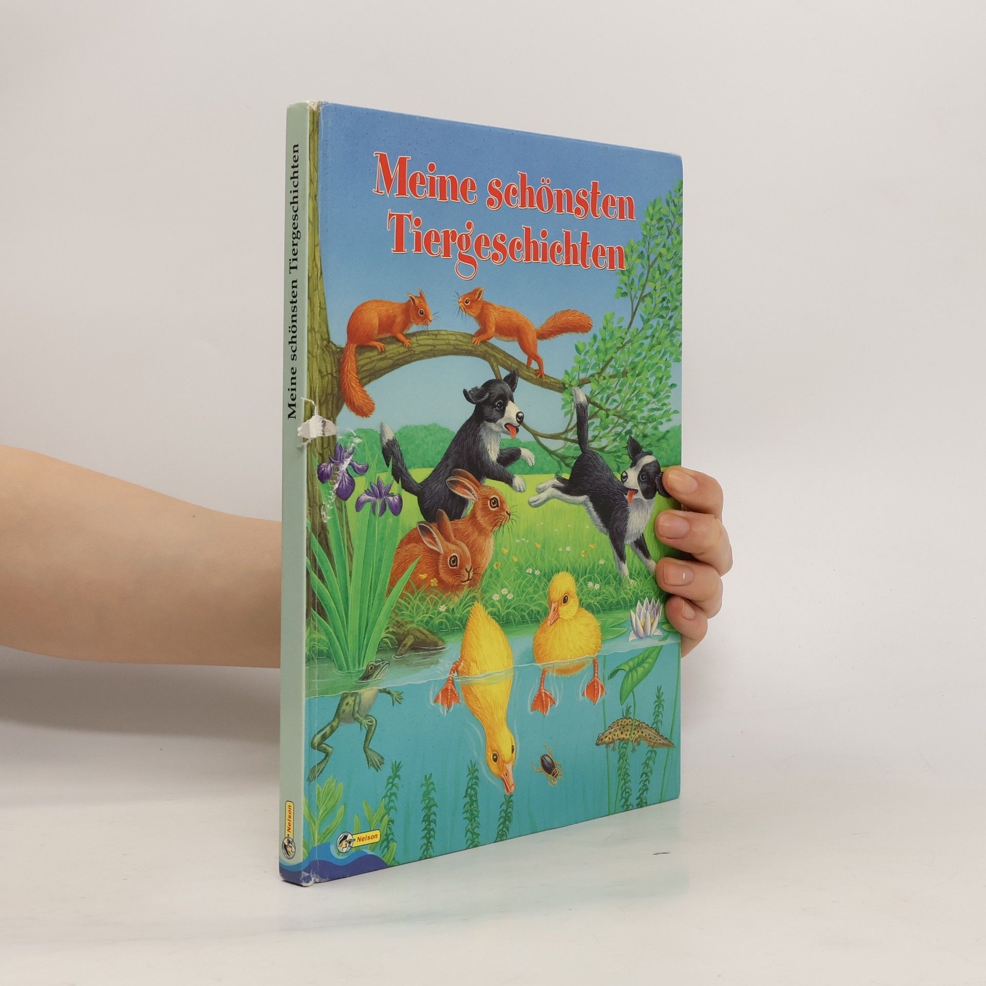 Ute Haderlein Meine schönsten Tiergeschichten