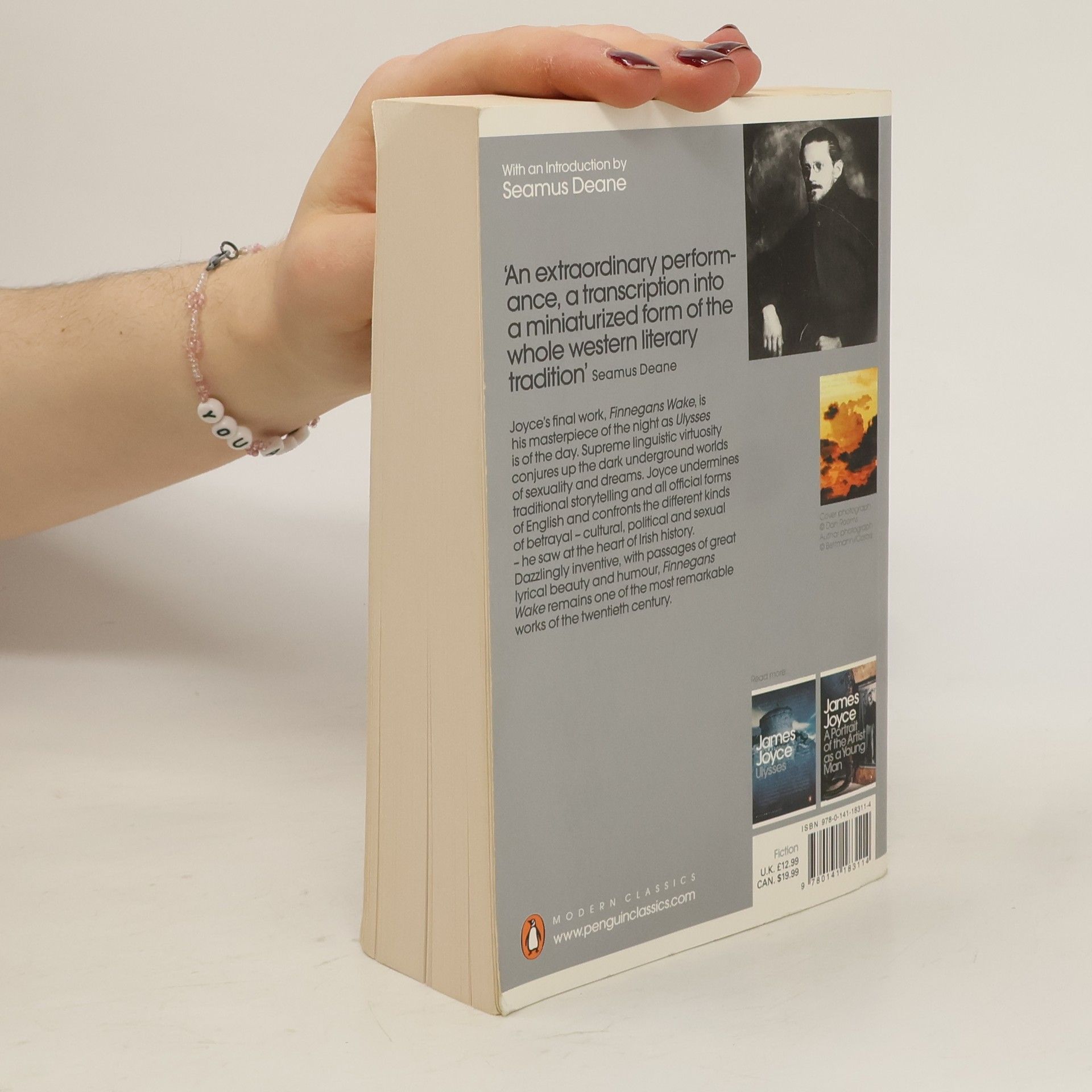 James Joyce Finnegans wake