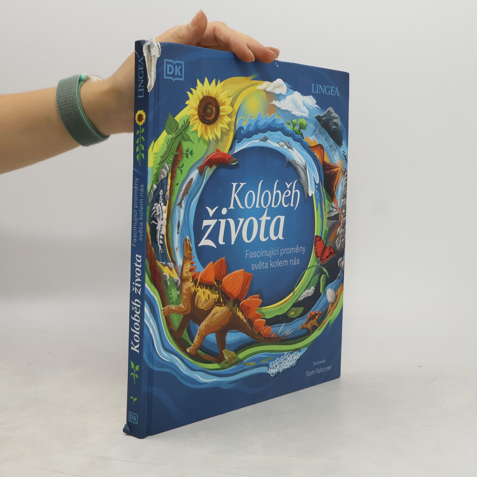 Collective Koloběh života. Fascinující proměny světa kolem nás