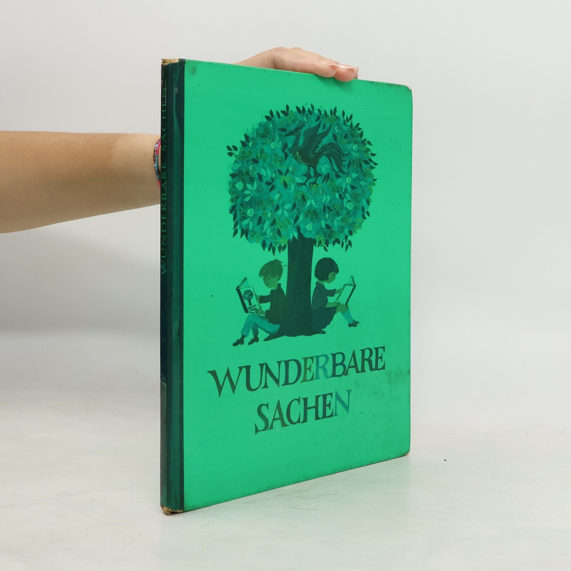 Ursula Wölfel Wunderbare Sachen