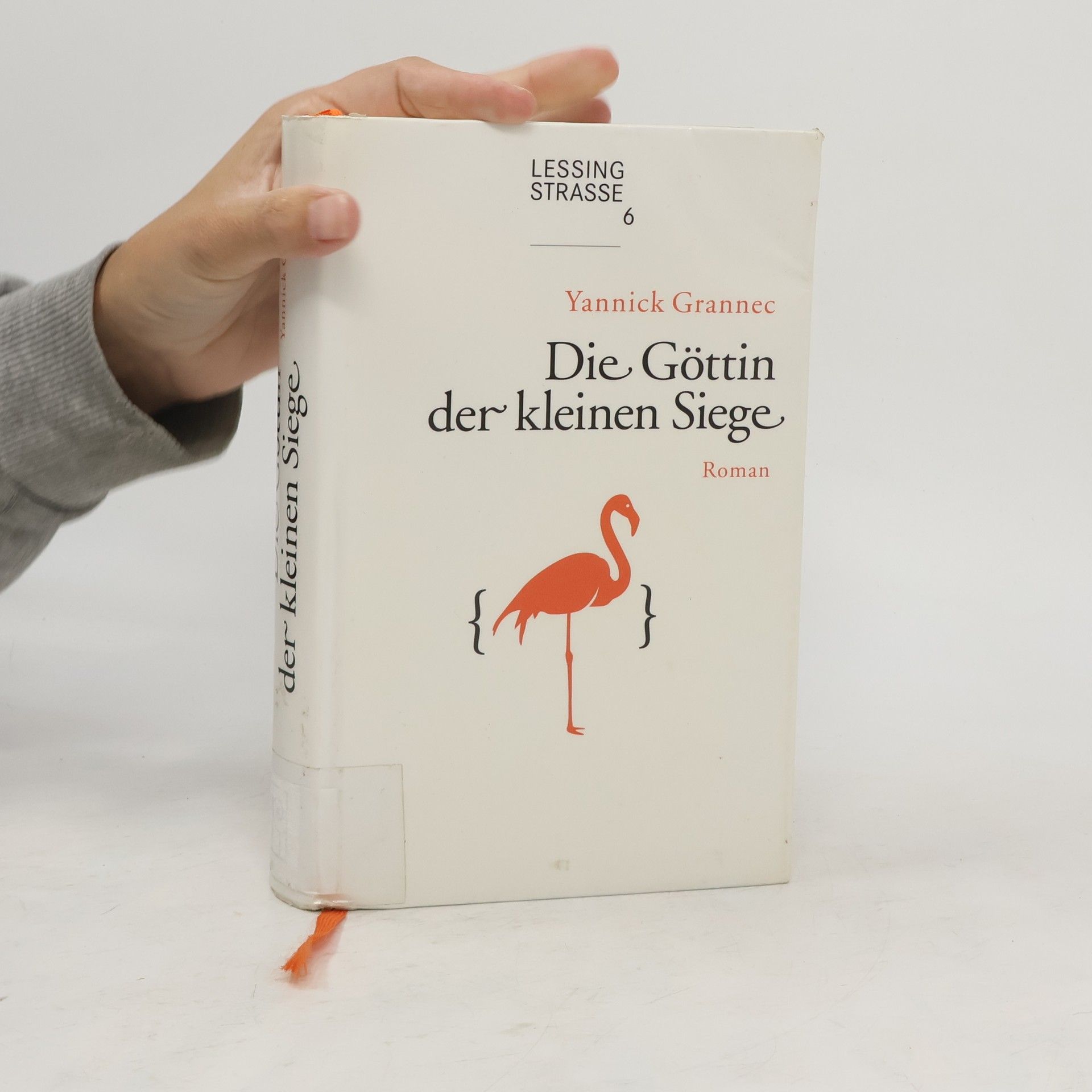 Yannick Grannec Die Göttin der kleinen Siege