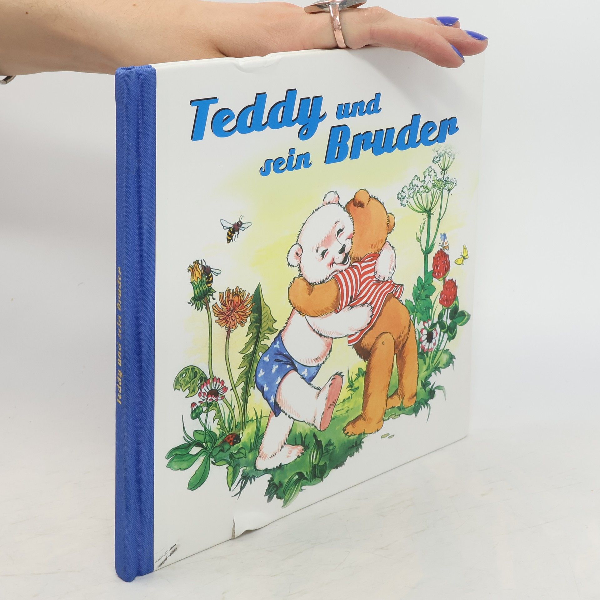 Anne Peer Teddy und sein Bruder