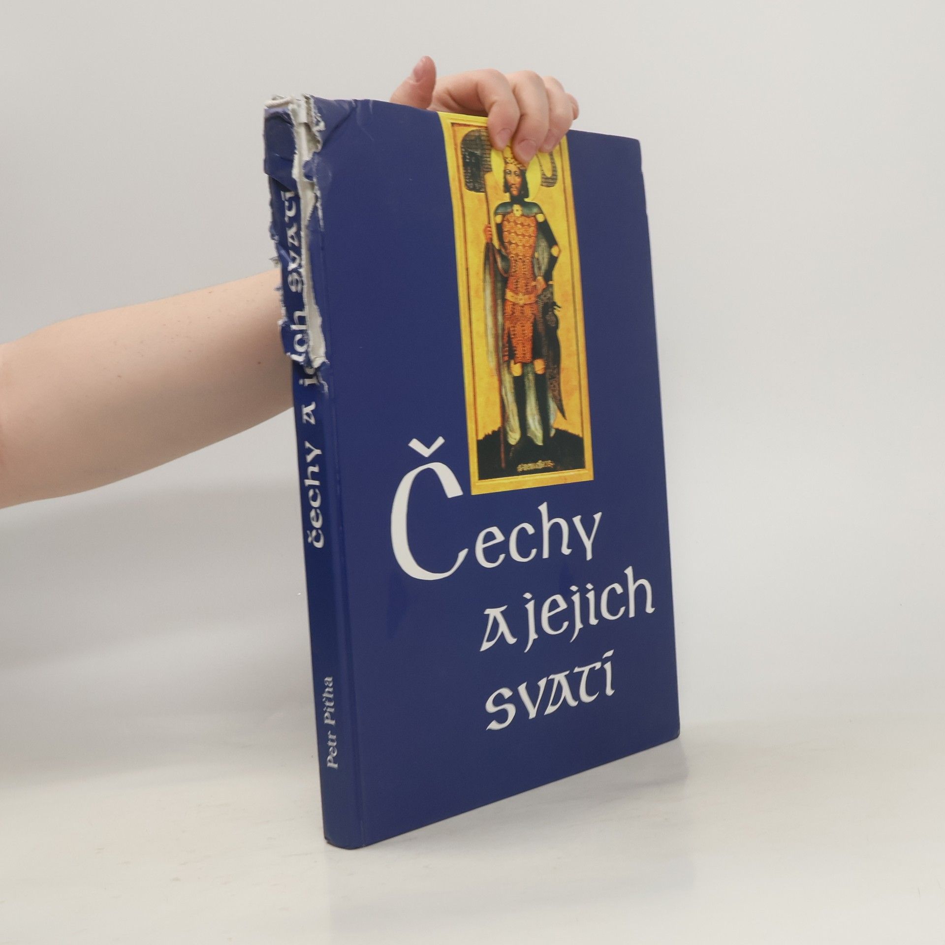 Petr Piťha Čechy a jejich svatí