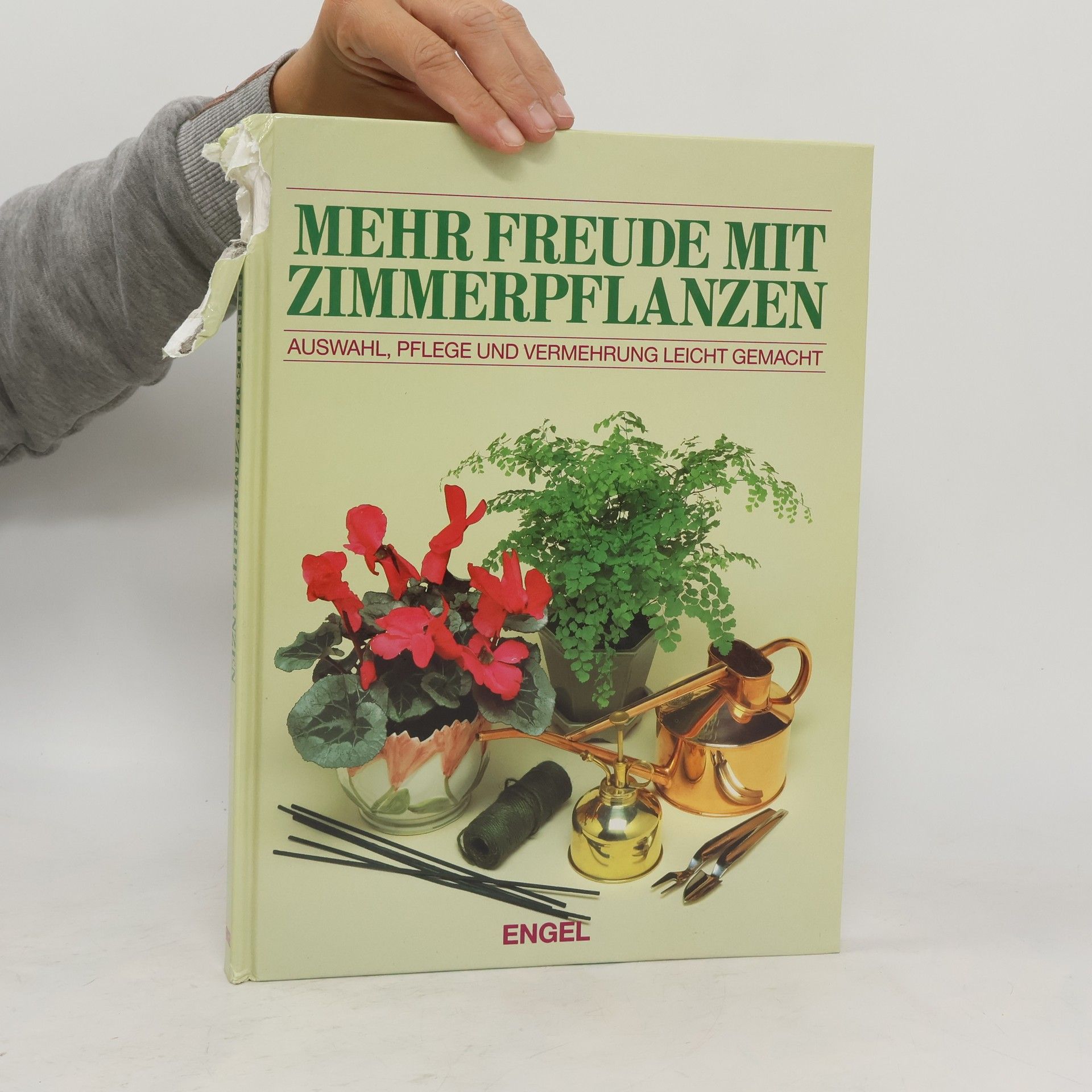 kolektiv Mehr Freude mit Zimmerpflanzen