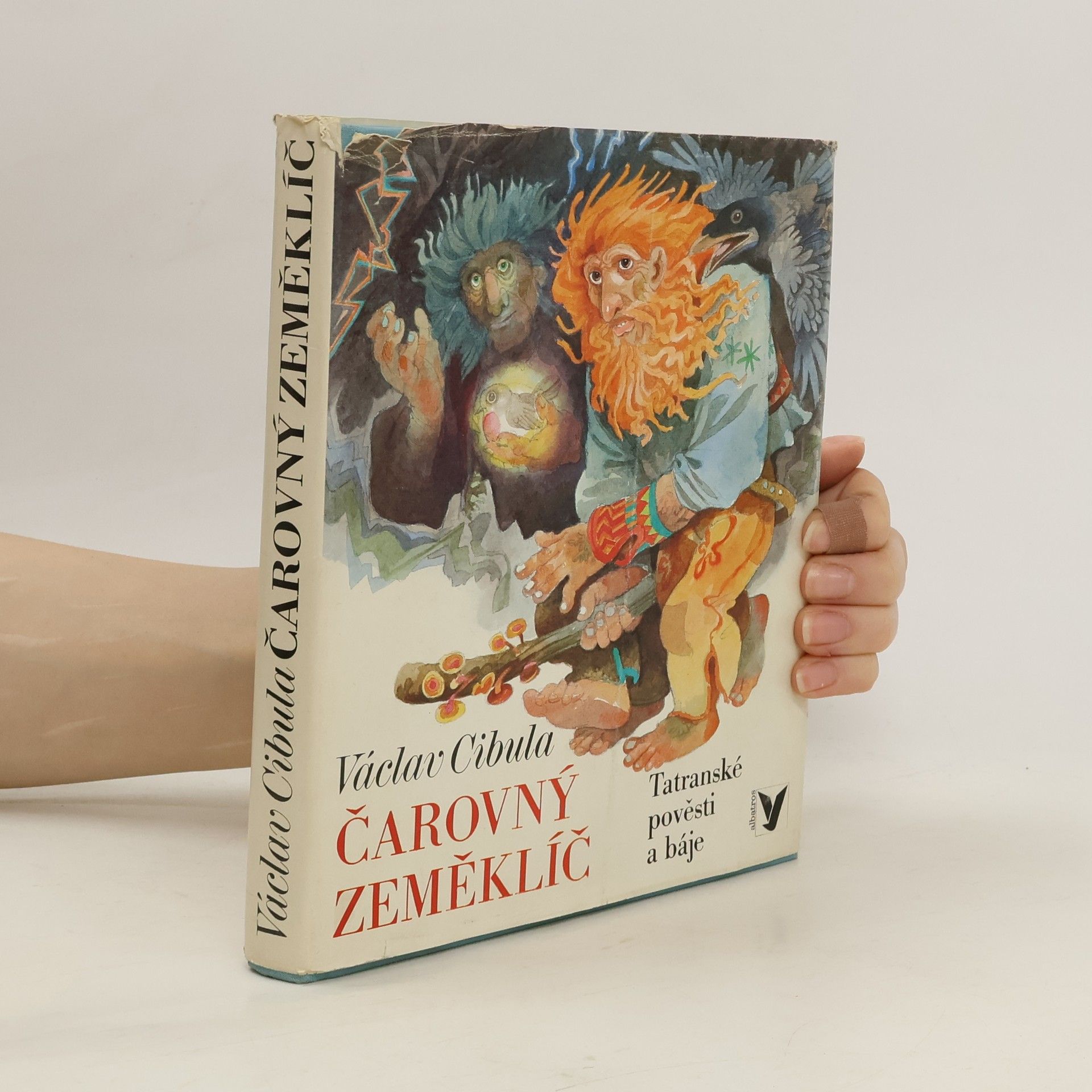 Václav Cibula Čarovný zeměklíč