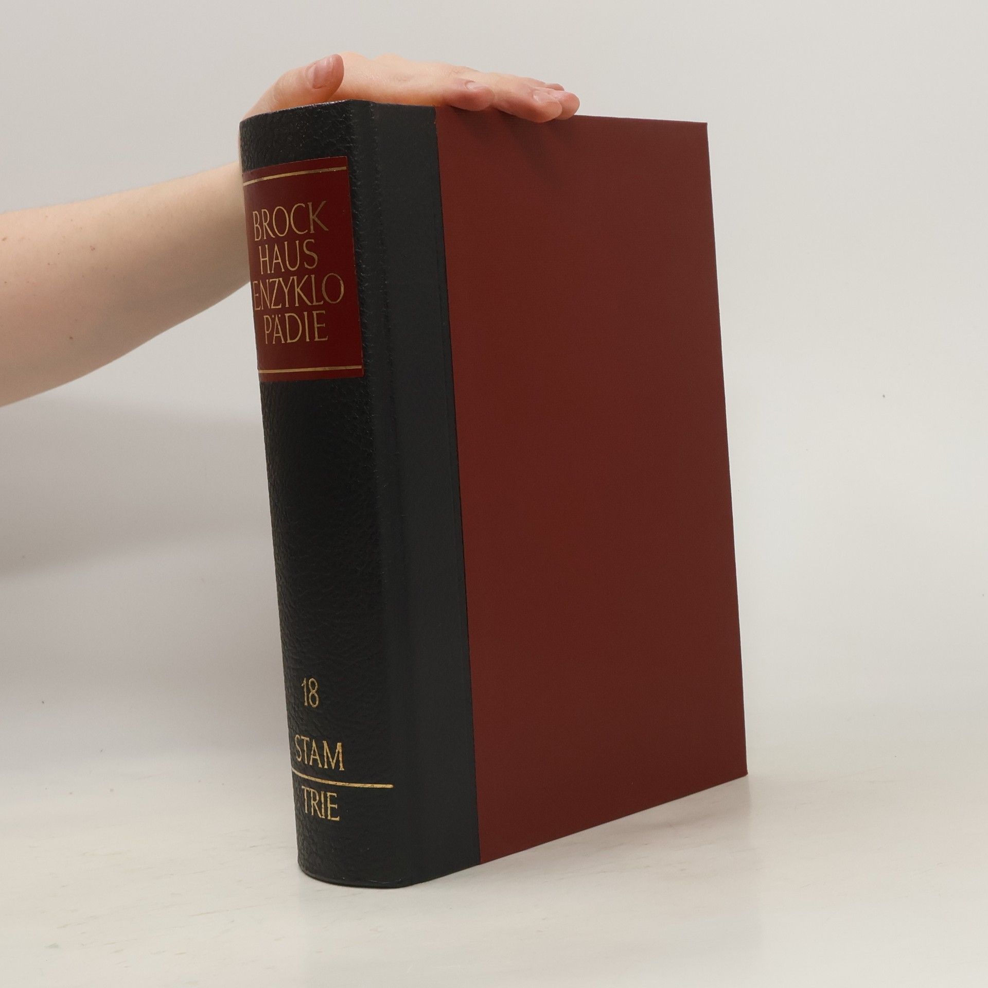 F. A. Brockhaus Brockhaus Enzyklopädie 18