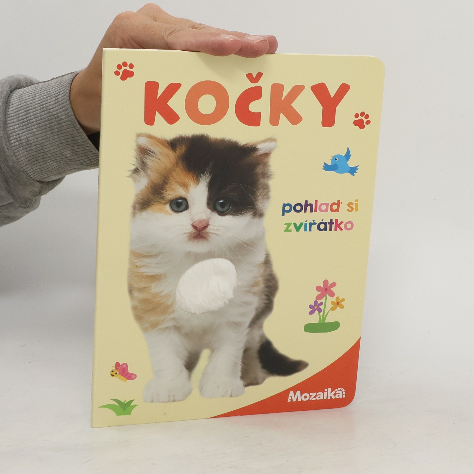 kolektiv Kočky: pohlaď si zvířátko