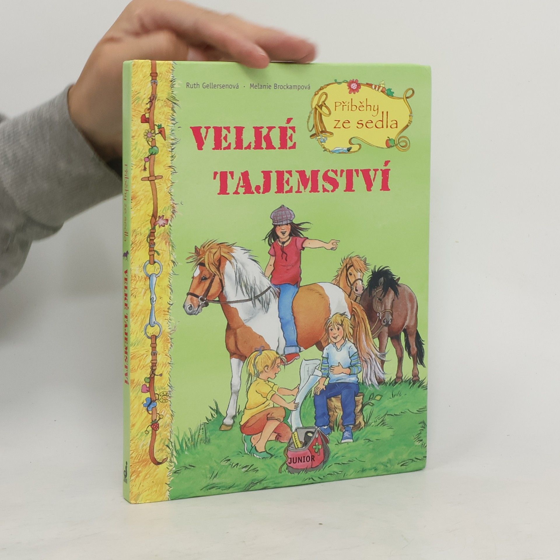 Ruth Gellersen Příběhy ze sedla. Velké tajemství