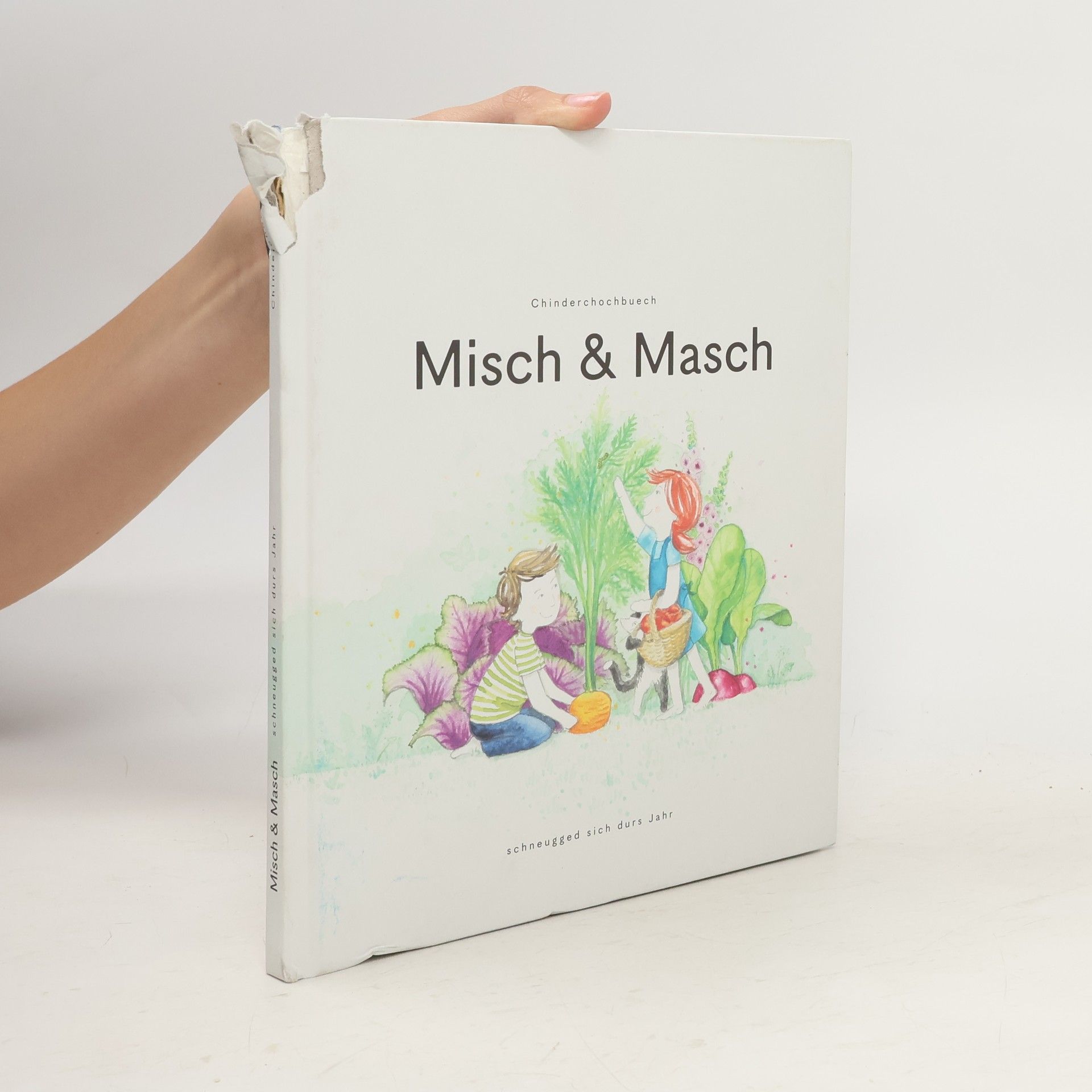 Maurice Maggi Misch & Masch schneugged sich durs Jahr
