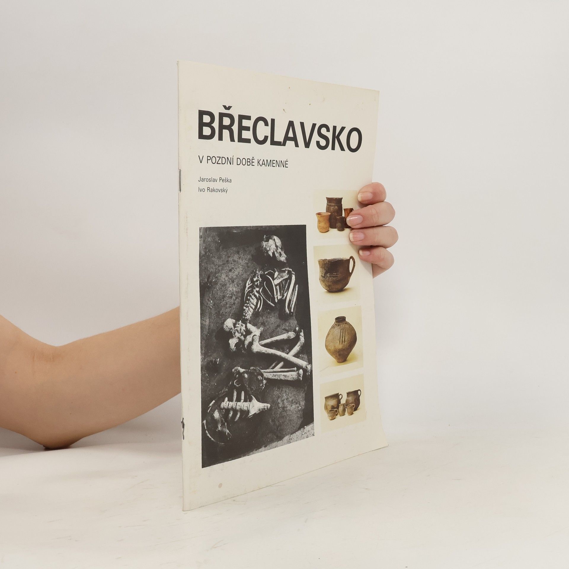 Jaroslav Peška Břeclavsko v pozdní době kamenné