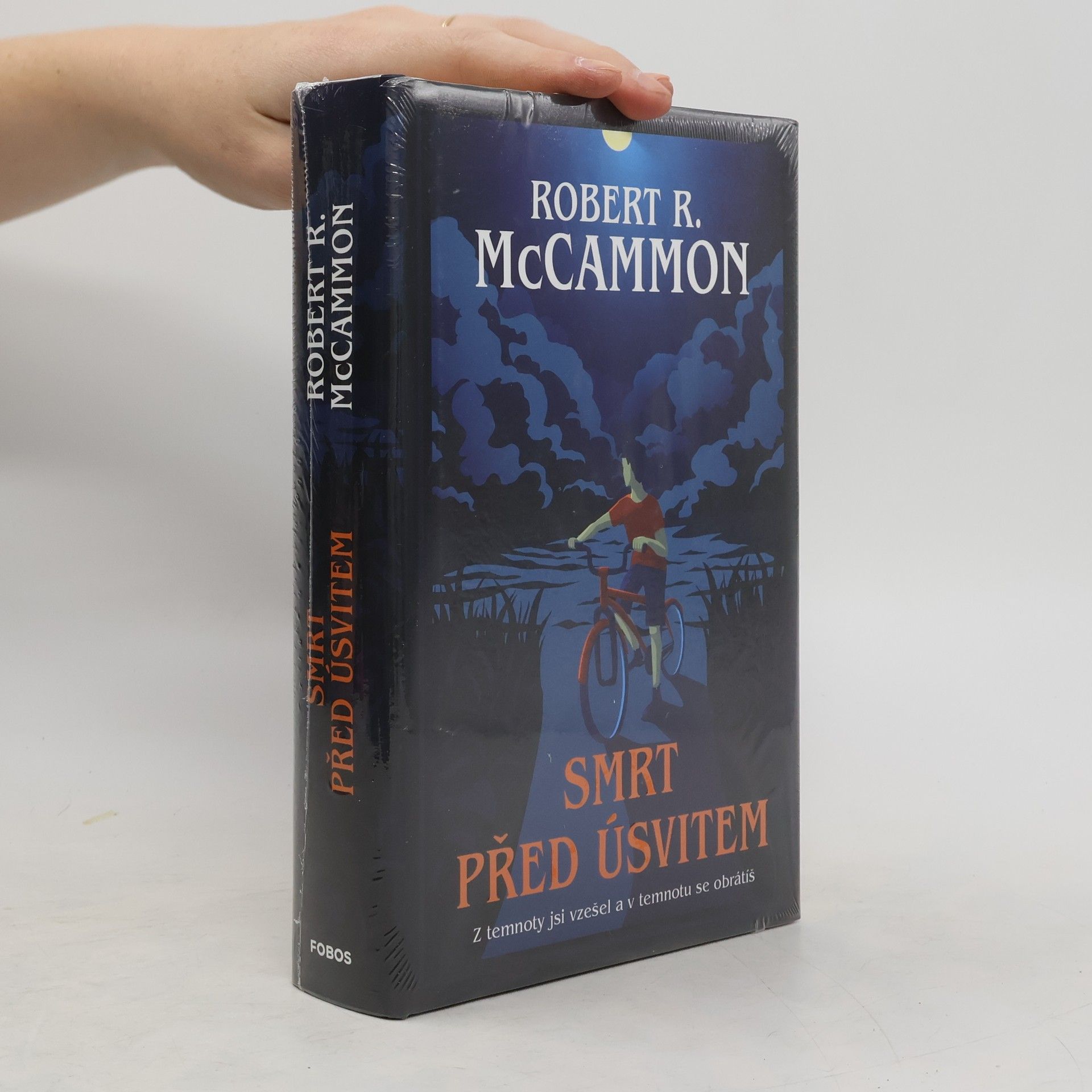 Robert McCammon Smrt před úsvitem