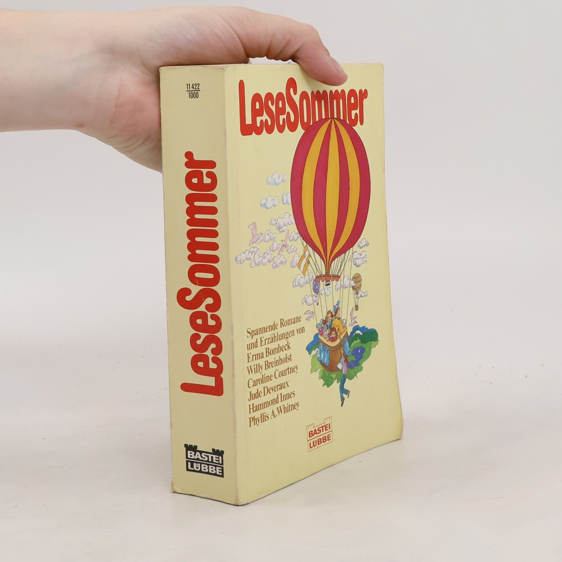 AA.VV. LeseSommer