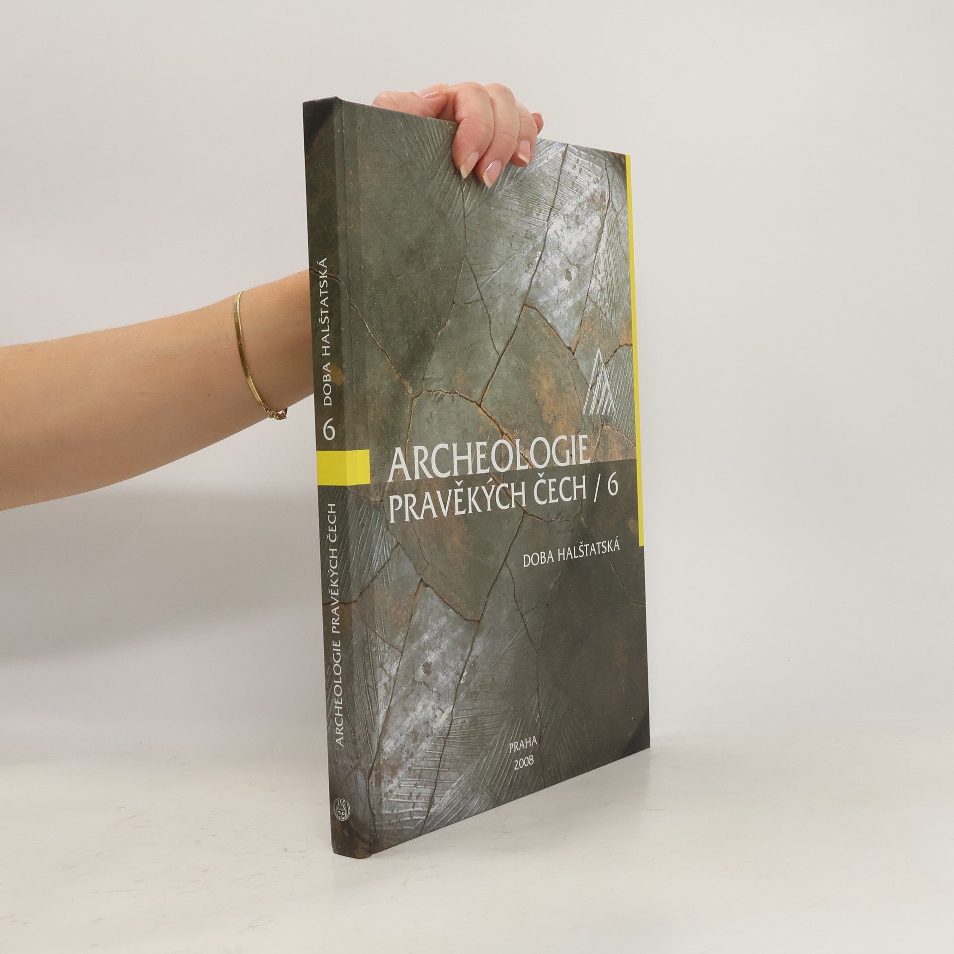 Collectif d'auteurs Archeologie pravěkých Čech : Doba halštatská. 6