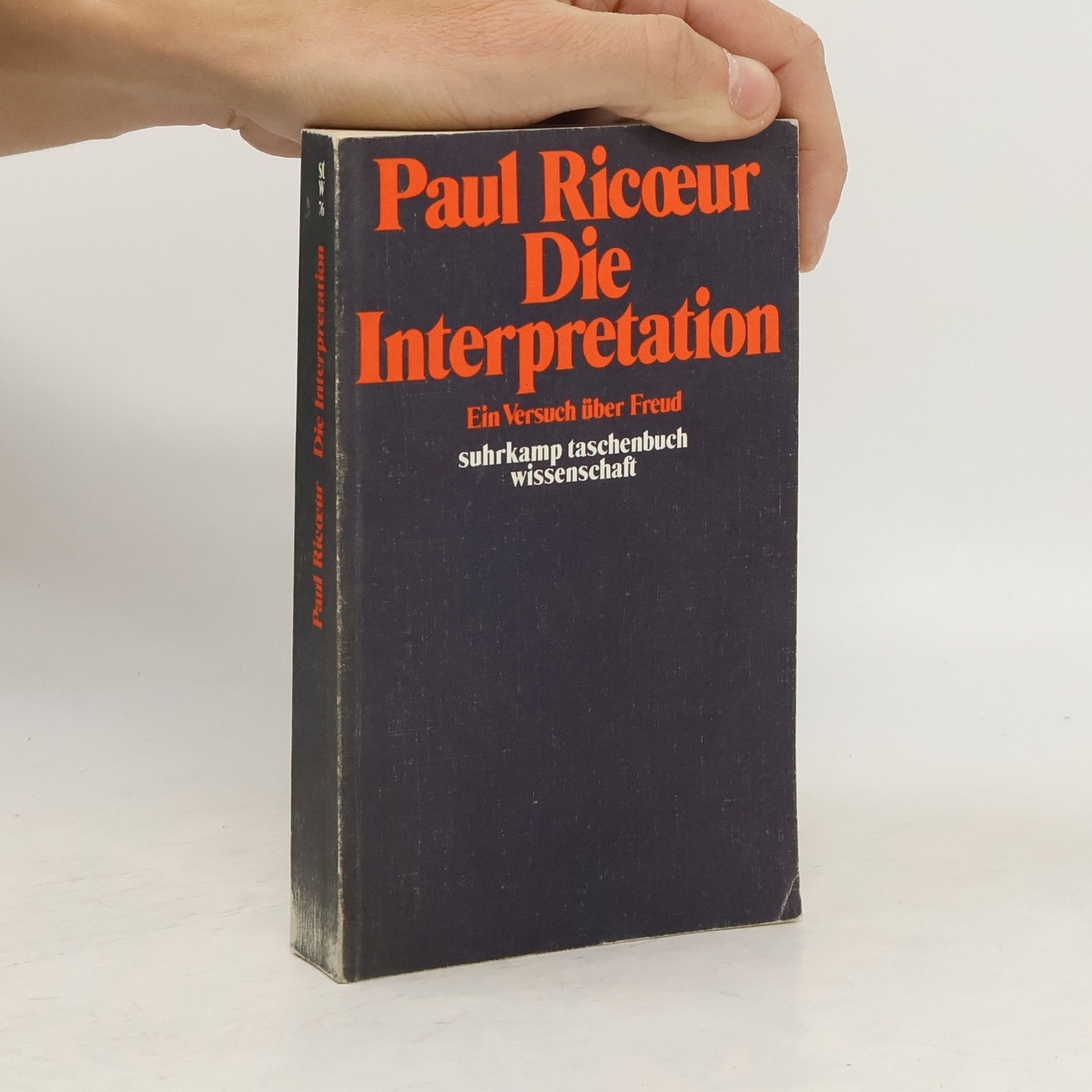 Paul Ricœur Die Interpretation