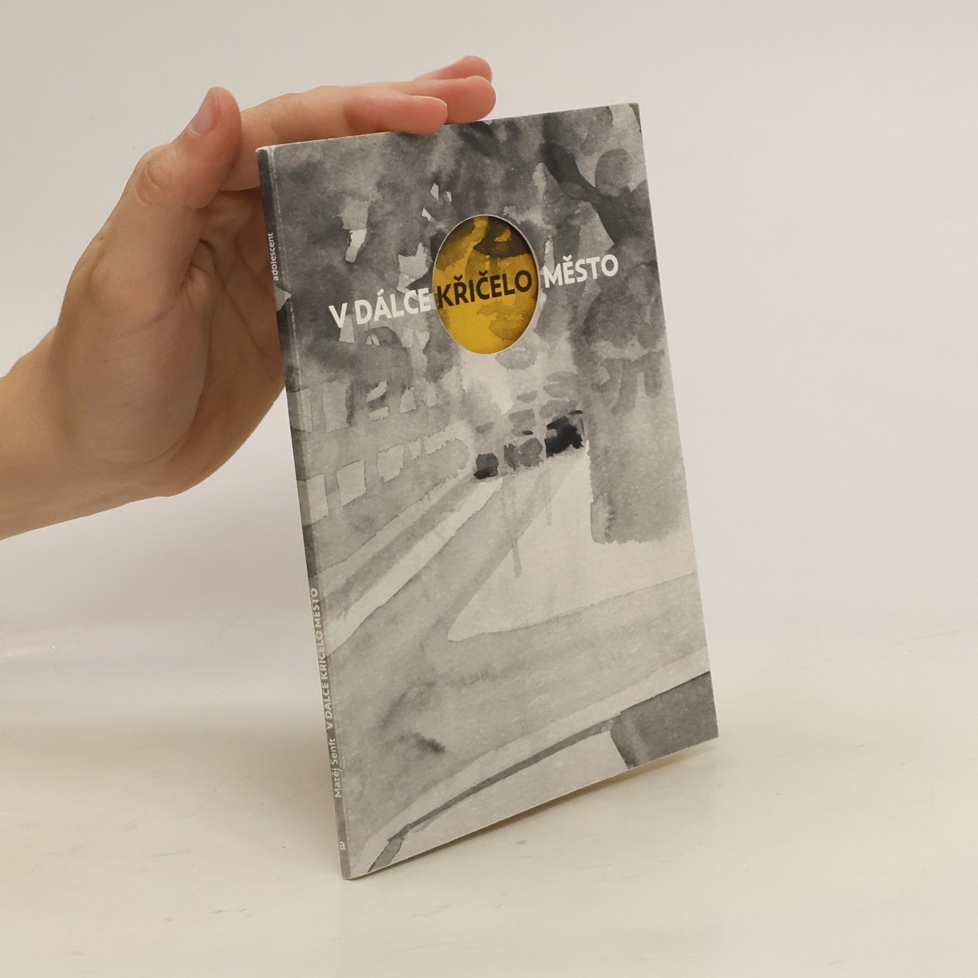 Matěj Senft V dálce křičelo město