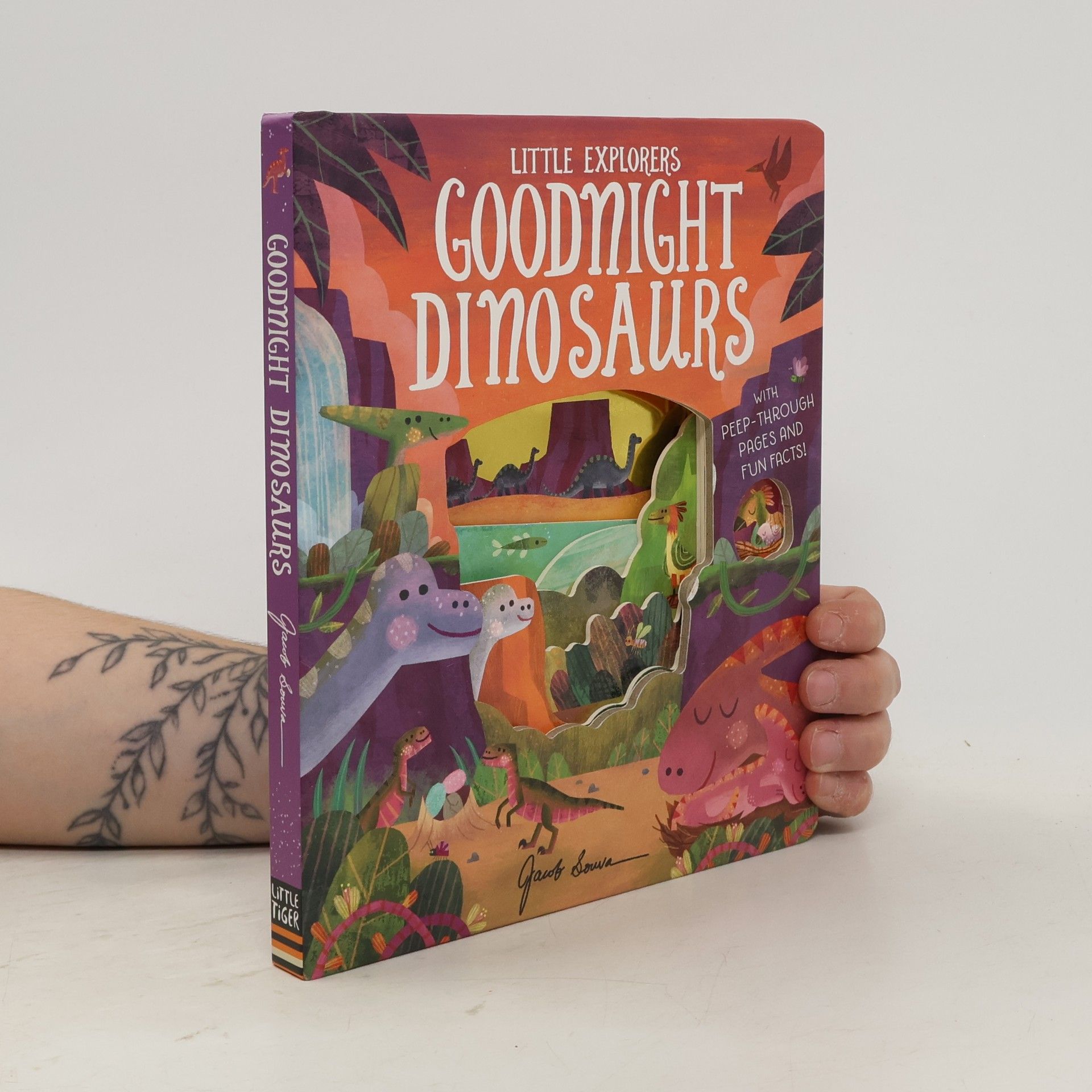 Molly Littleboy Goodnight Dinosaurs