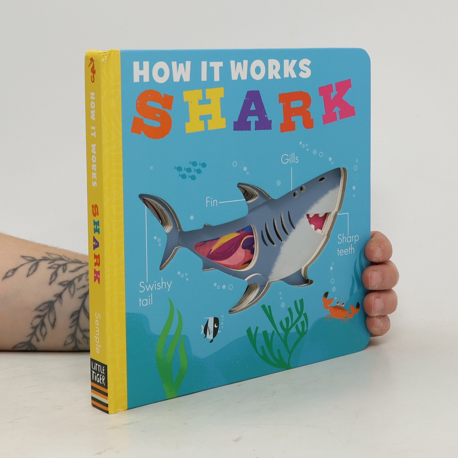 Molly Littleboy How it Works: Shark