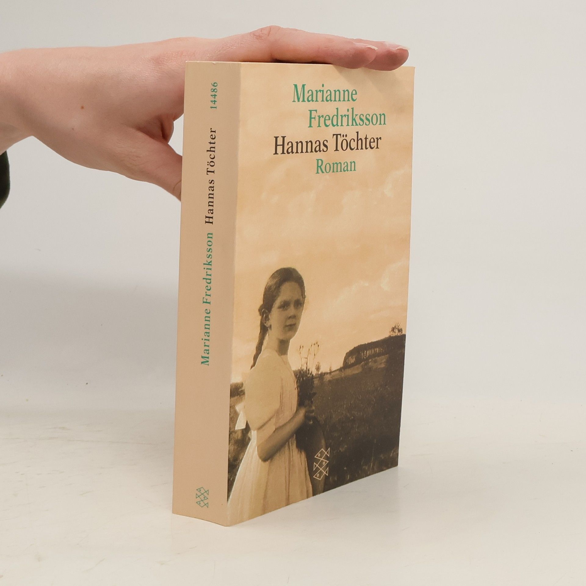 Marianne Fredriksson Hannas Töchter