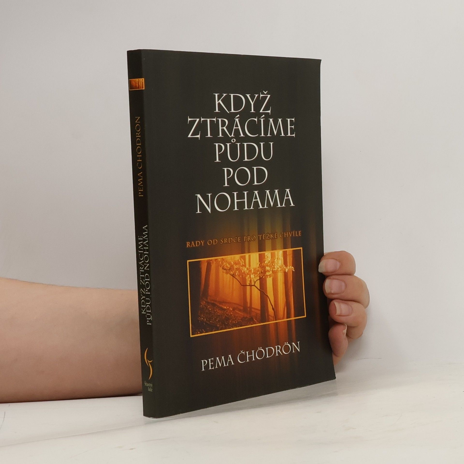 Pema Chödrön Když ztrácíme půdu pod nohama