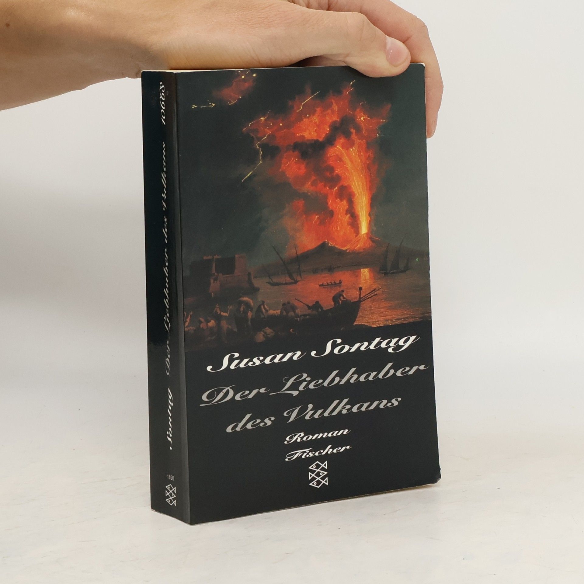 Susan Sontag Der Liebhaber des Vulkans