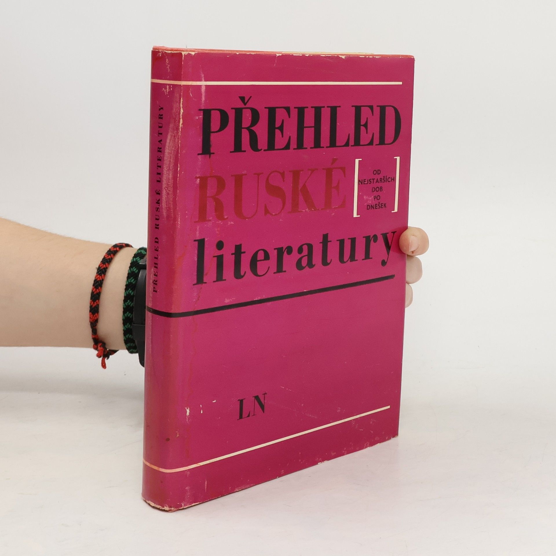 Autorenkollektiv Přehled ruské literatury. Od nejstarších dob po dnešek