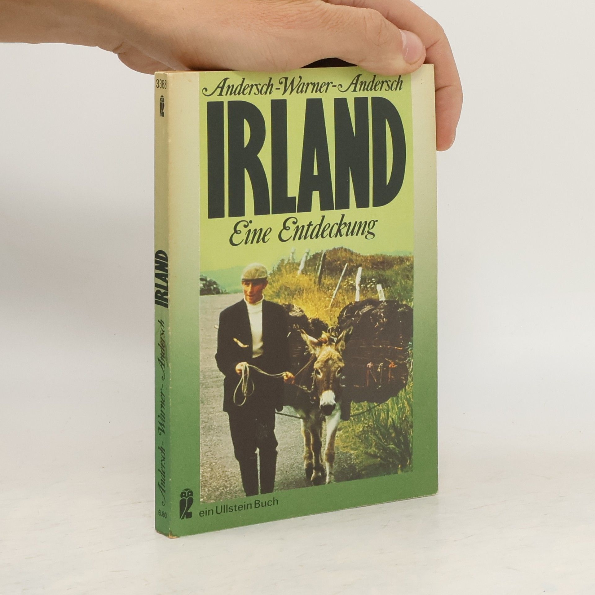 Patrick Warner Irland