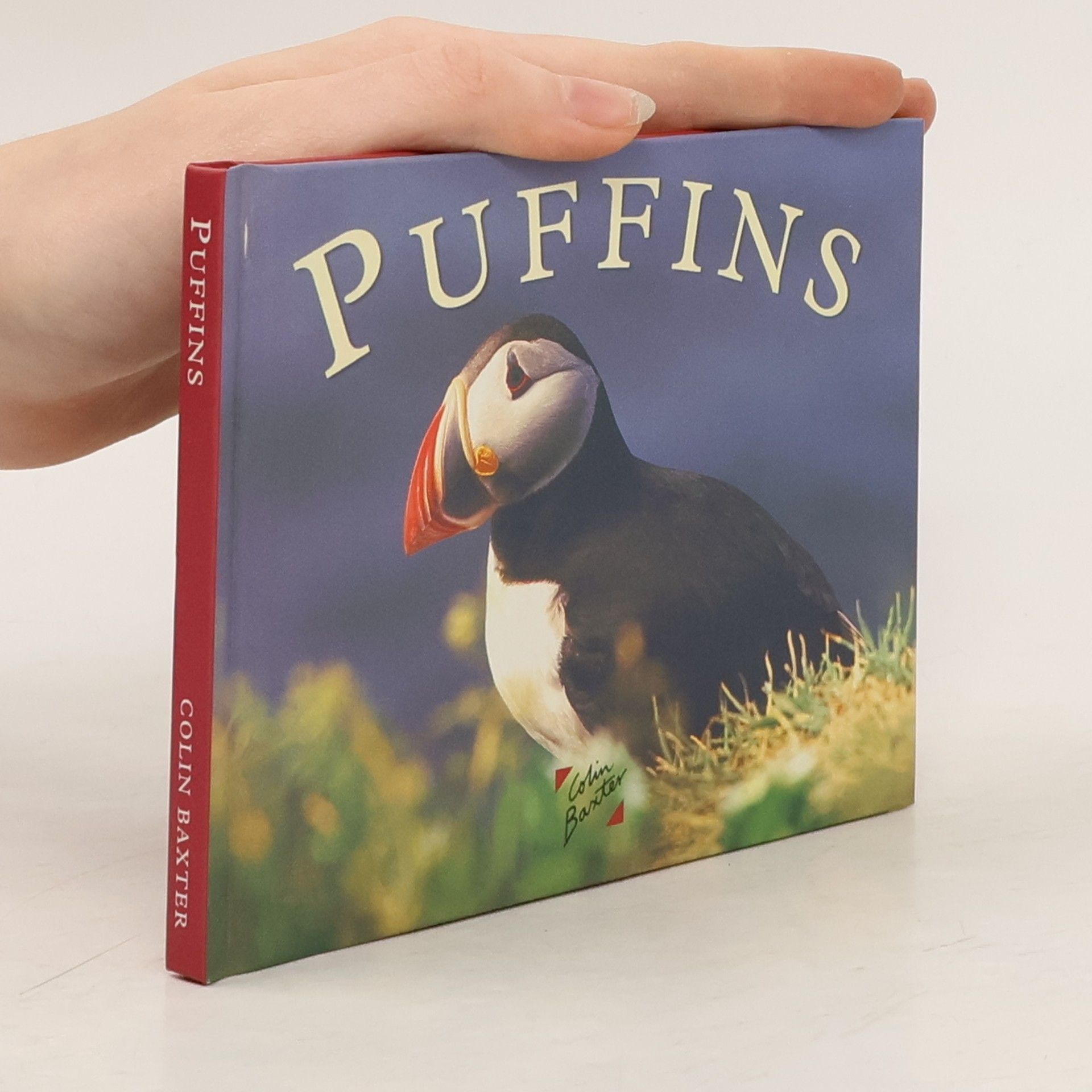 Kenneth N. Taylor Puffins